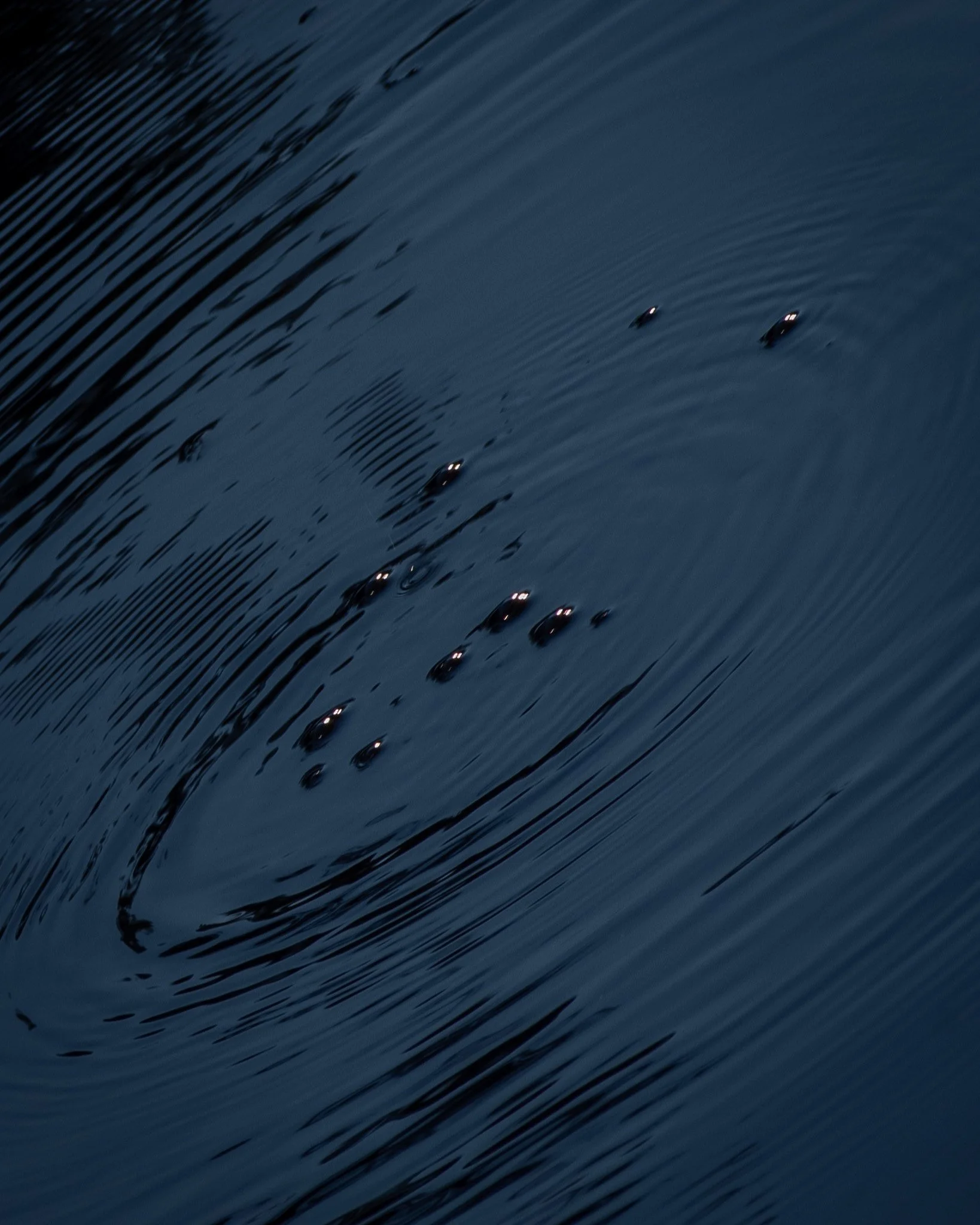 DSC_1669-2.jpg