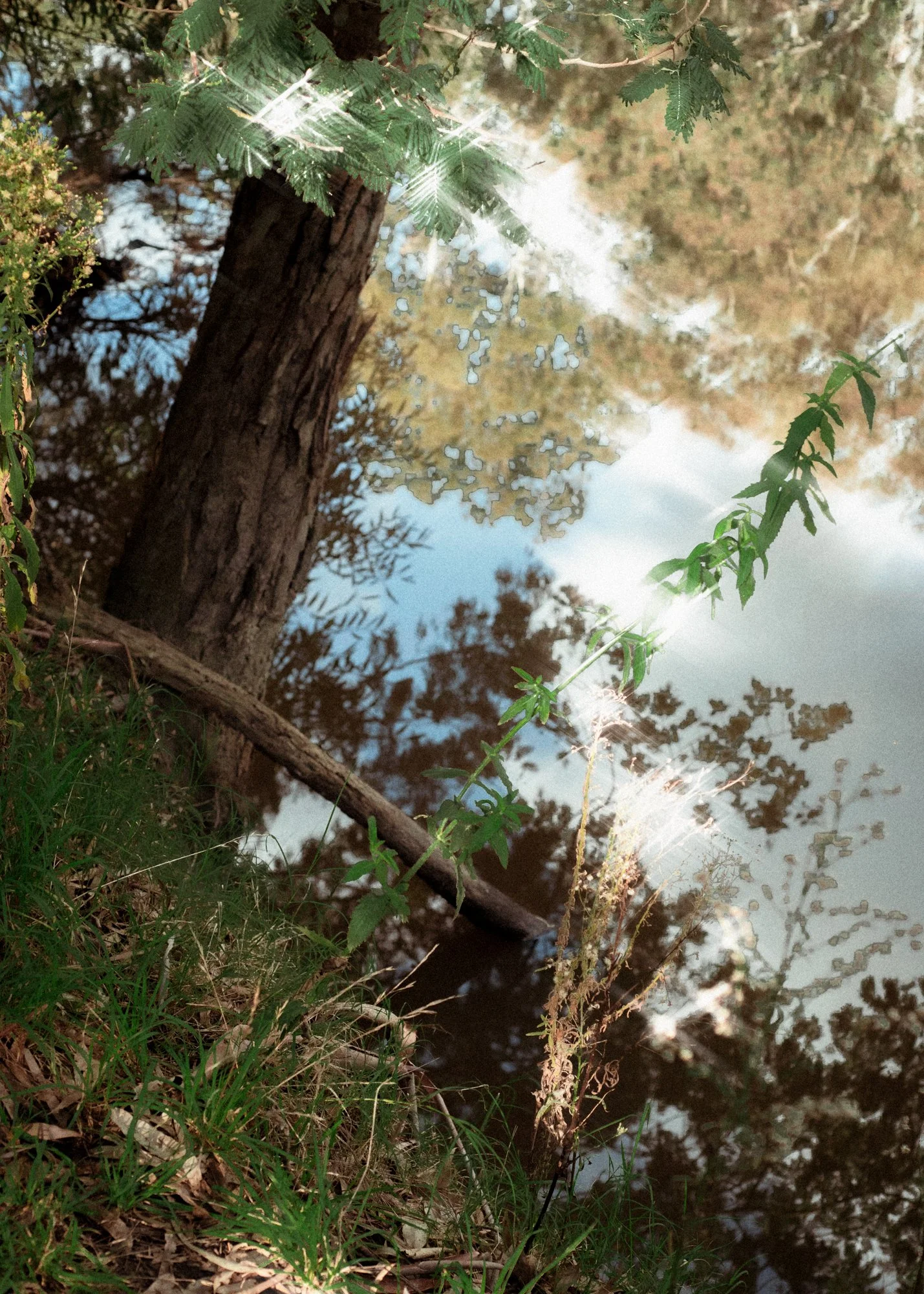 DSC_5807-Edit.jpg