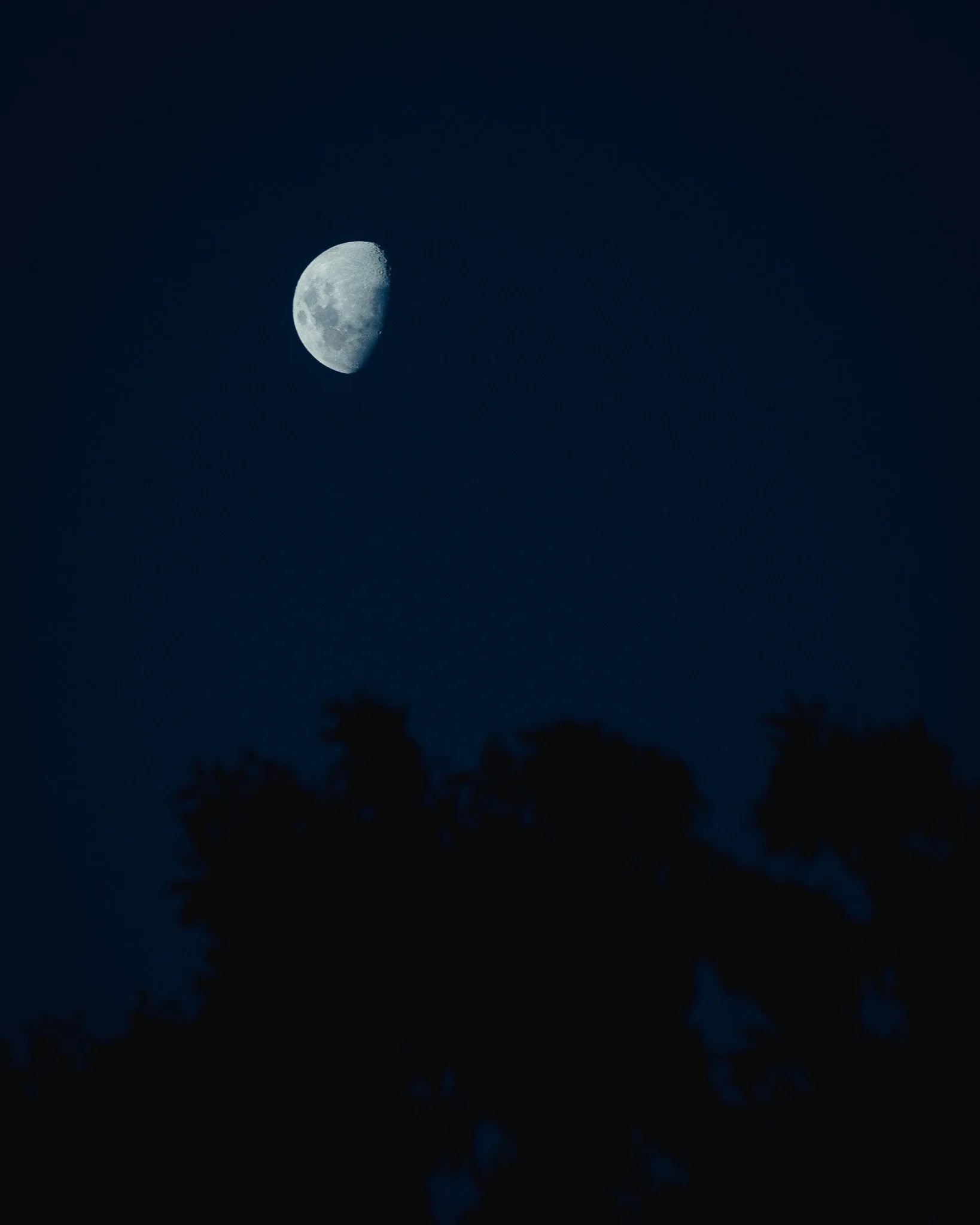 DSC_1889.jpg