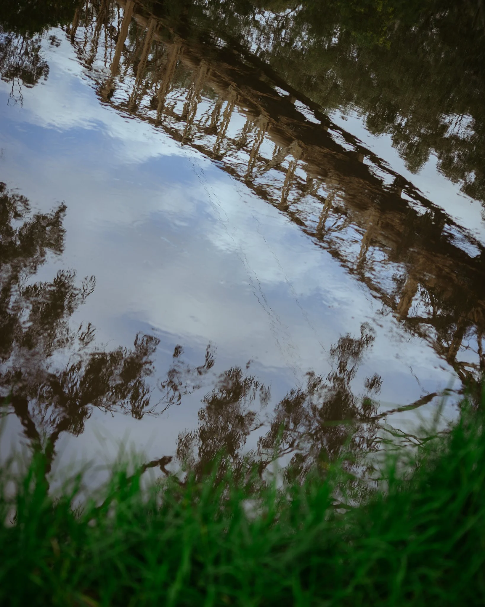DSC_0955.jpg