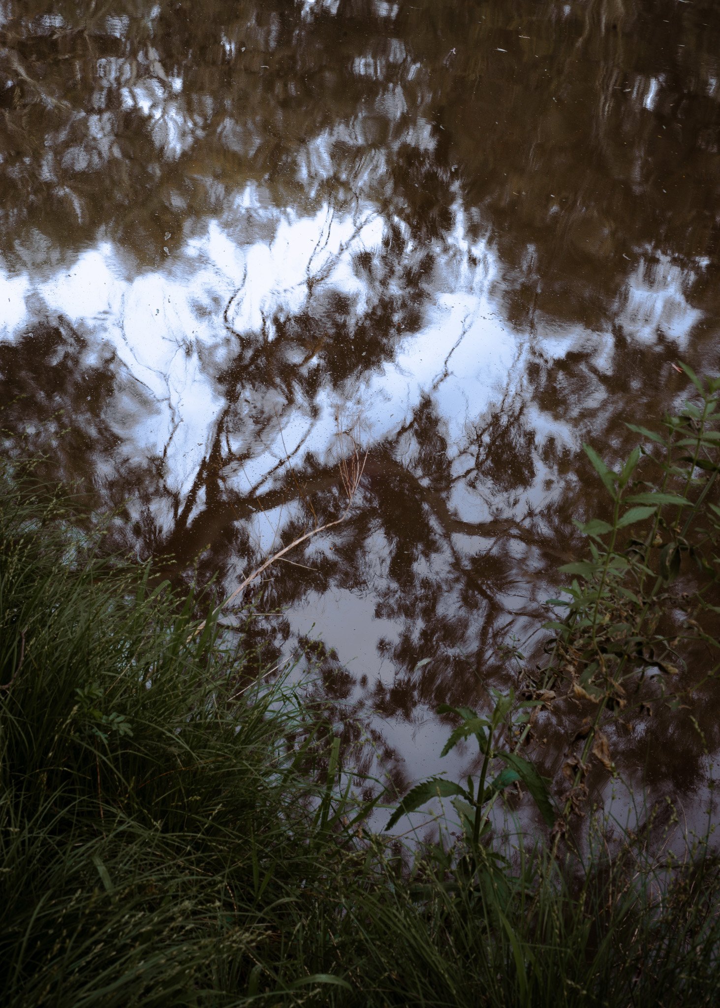 DSC_3307.jpg
