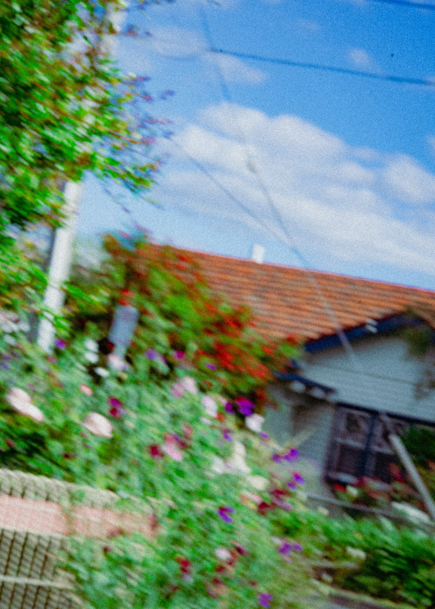 DSC_6749-3.jpg