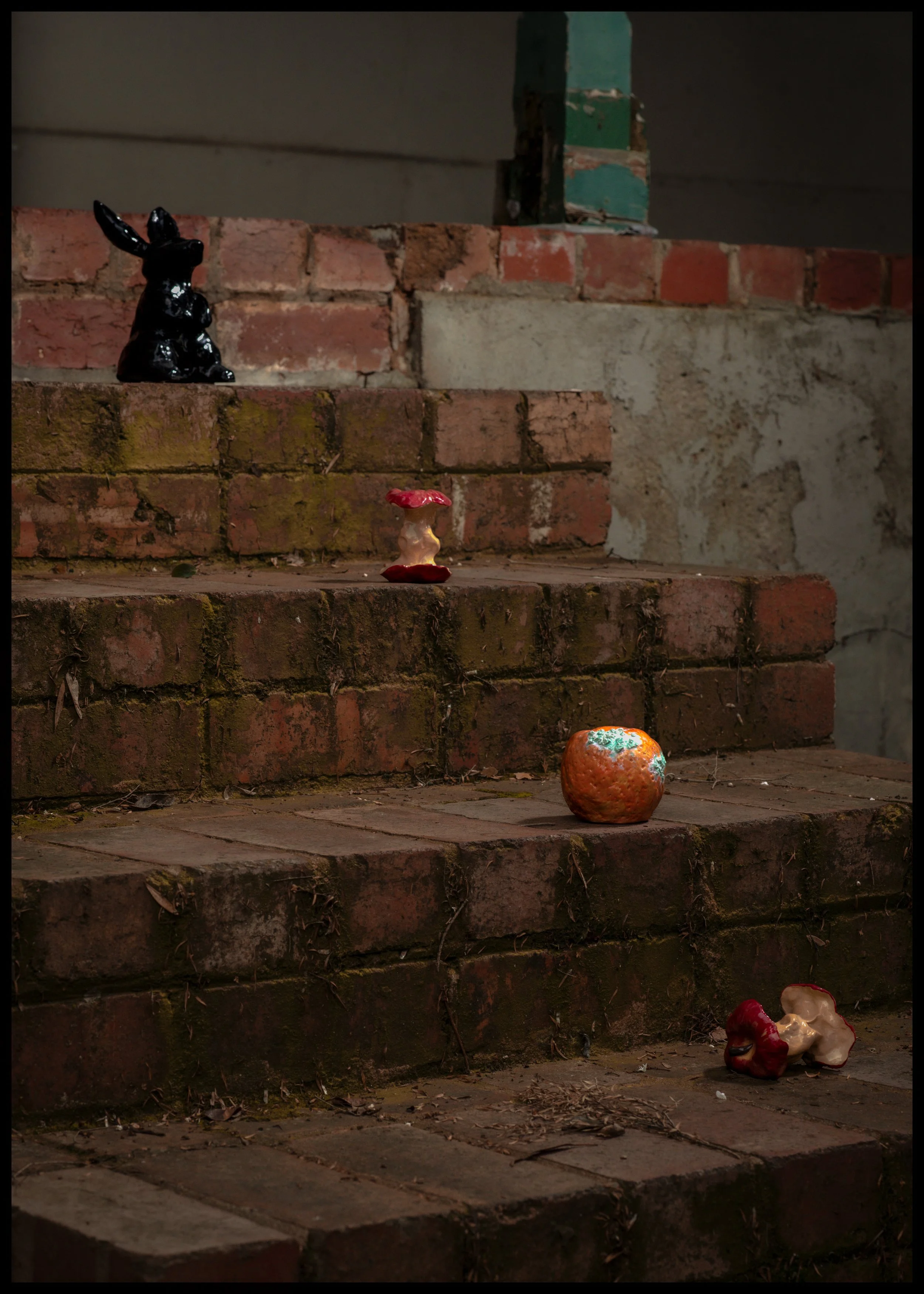 DSC_7915-Edit-Edit.jpg