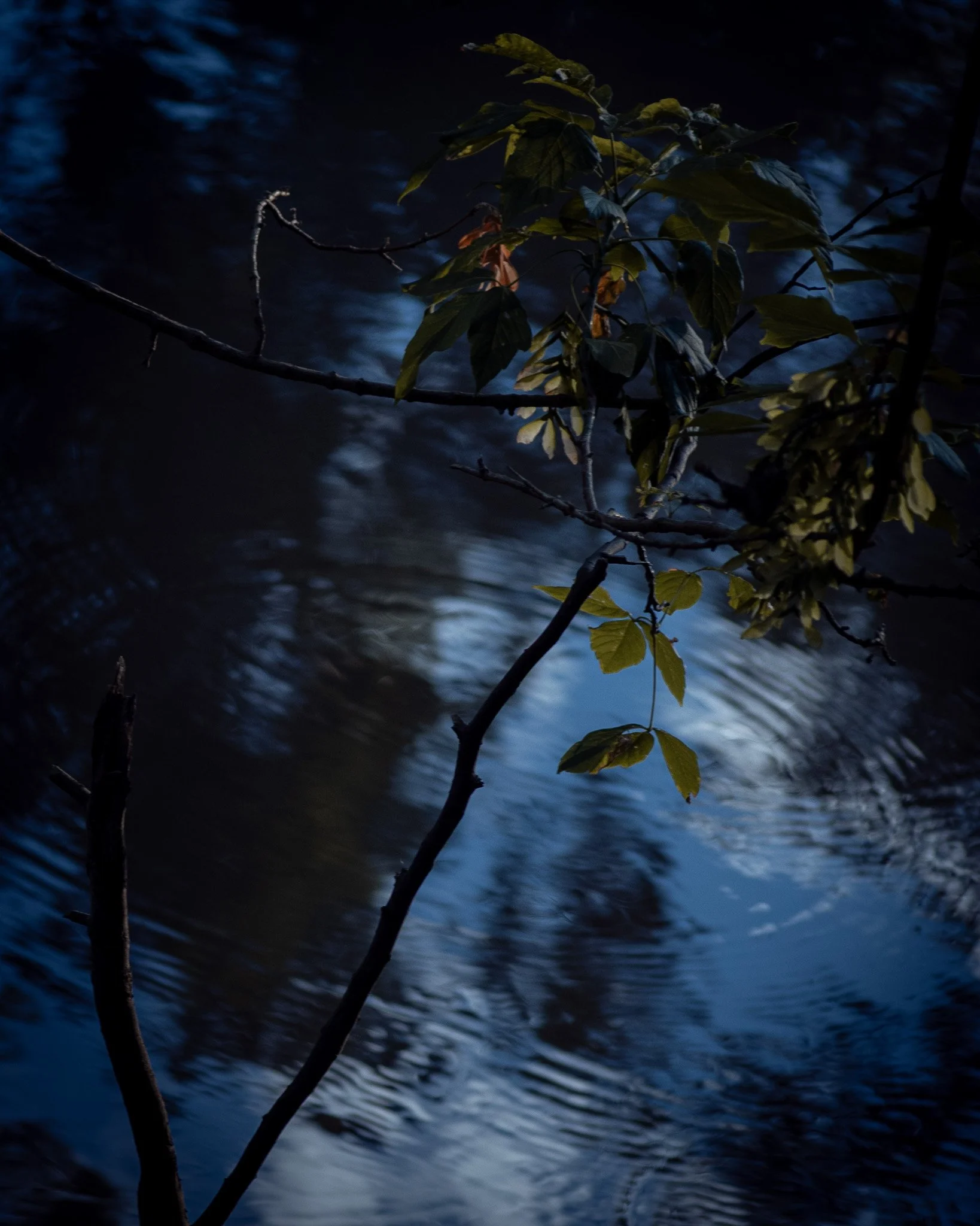 DSC_1583.jpg