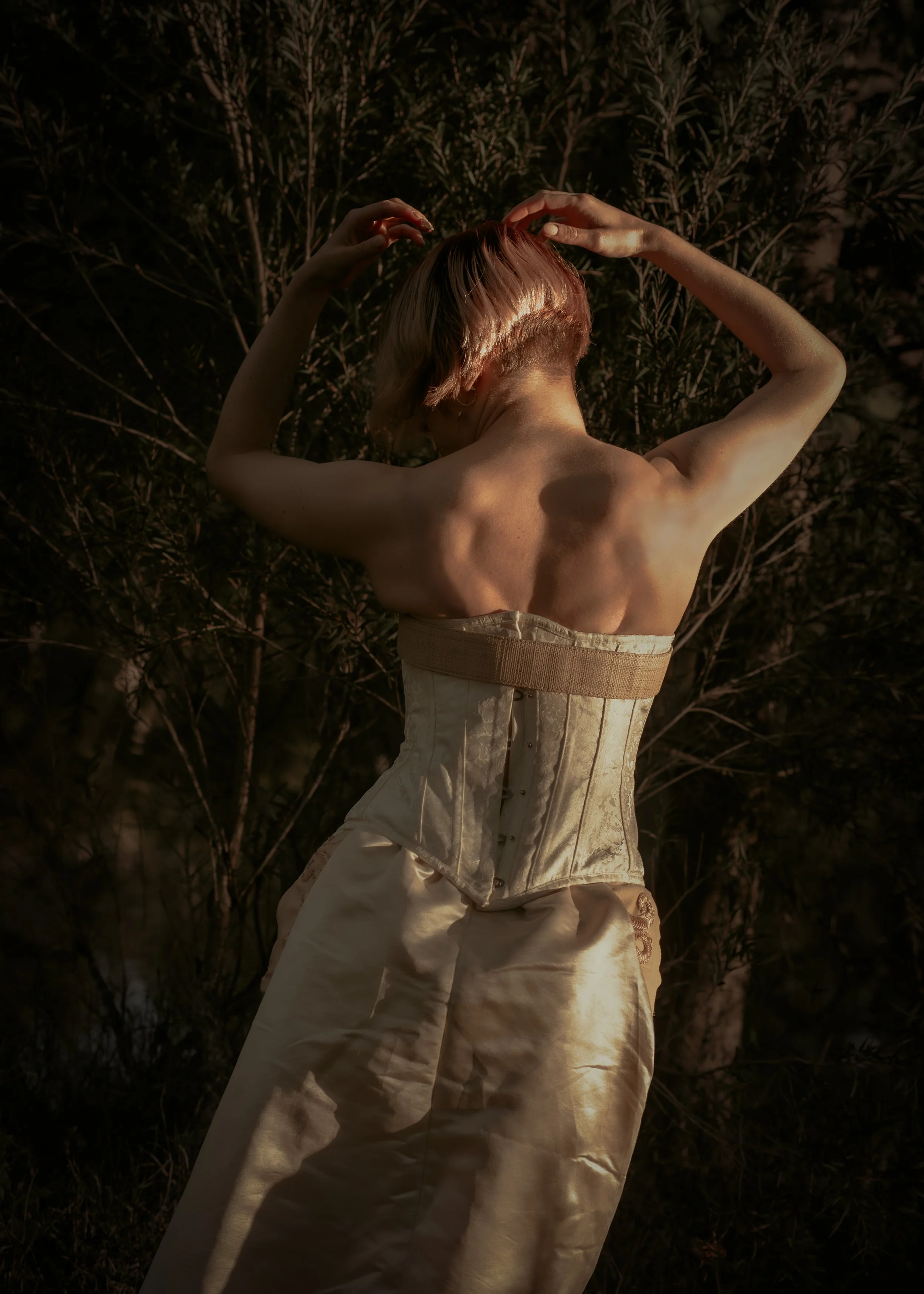 DSC_2500-Edit-Edit.jpg