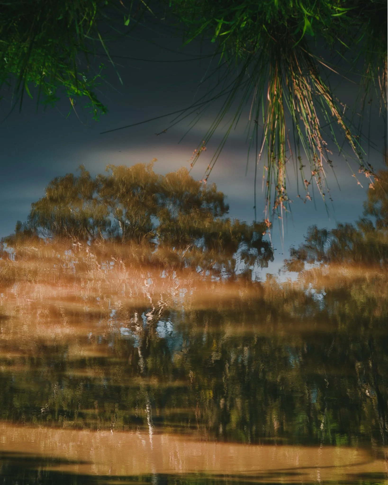 DSC_1447-HDR.jpg