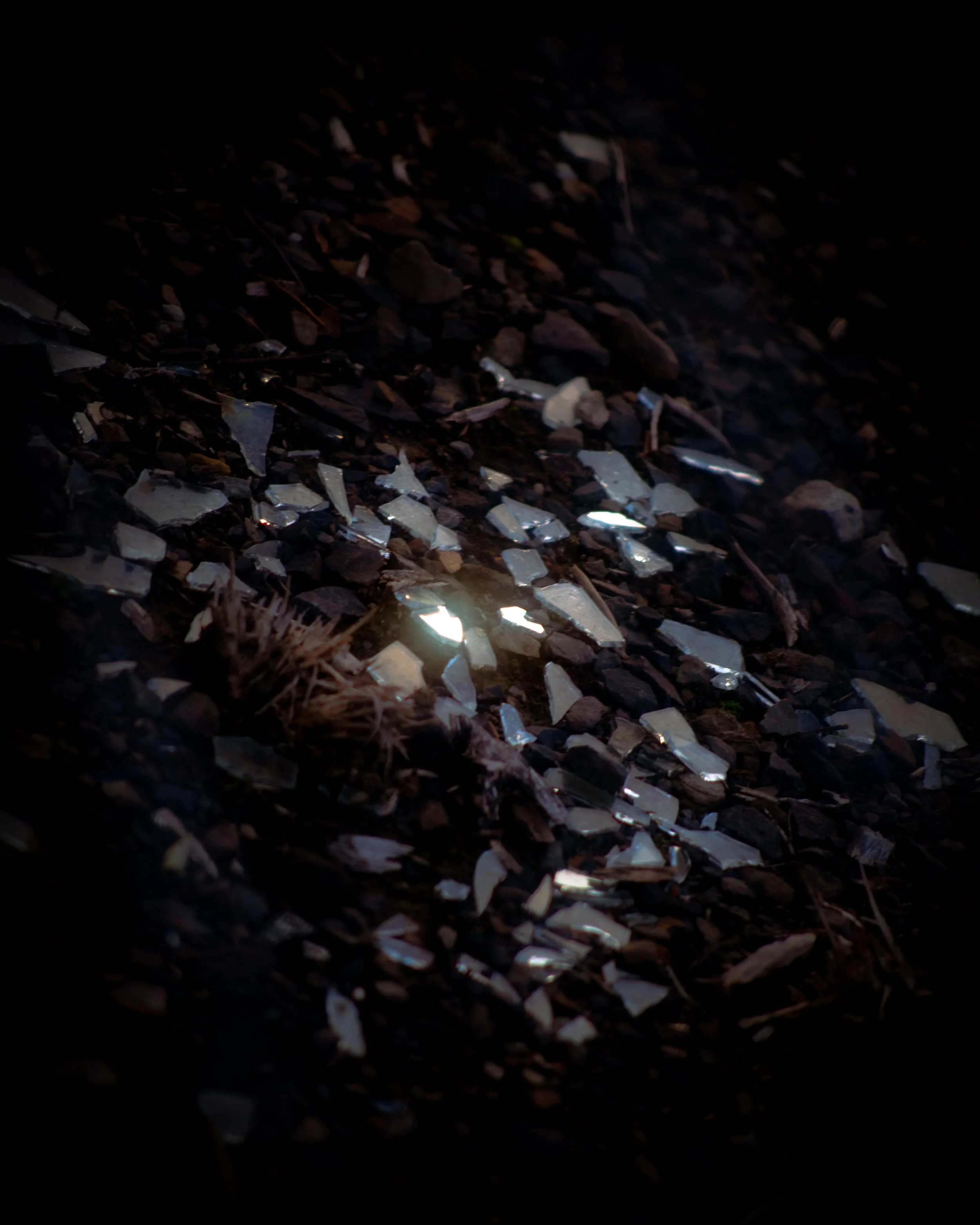 DSC_9420-Recovered.jpg