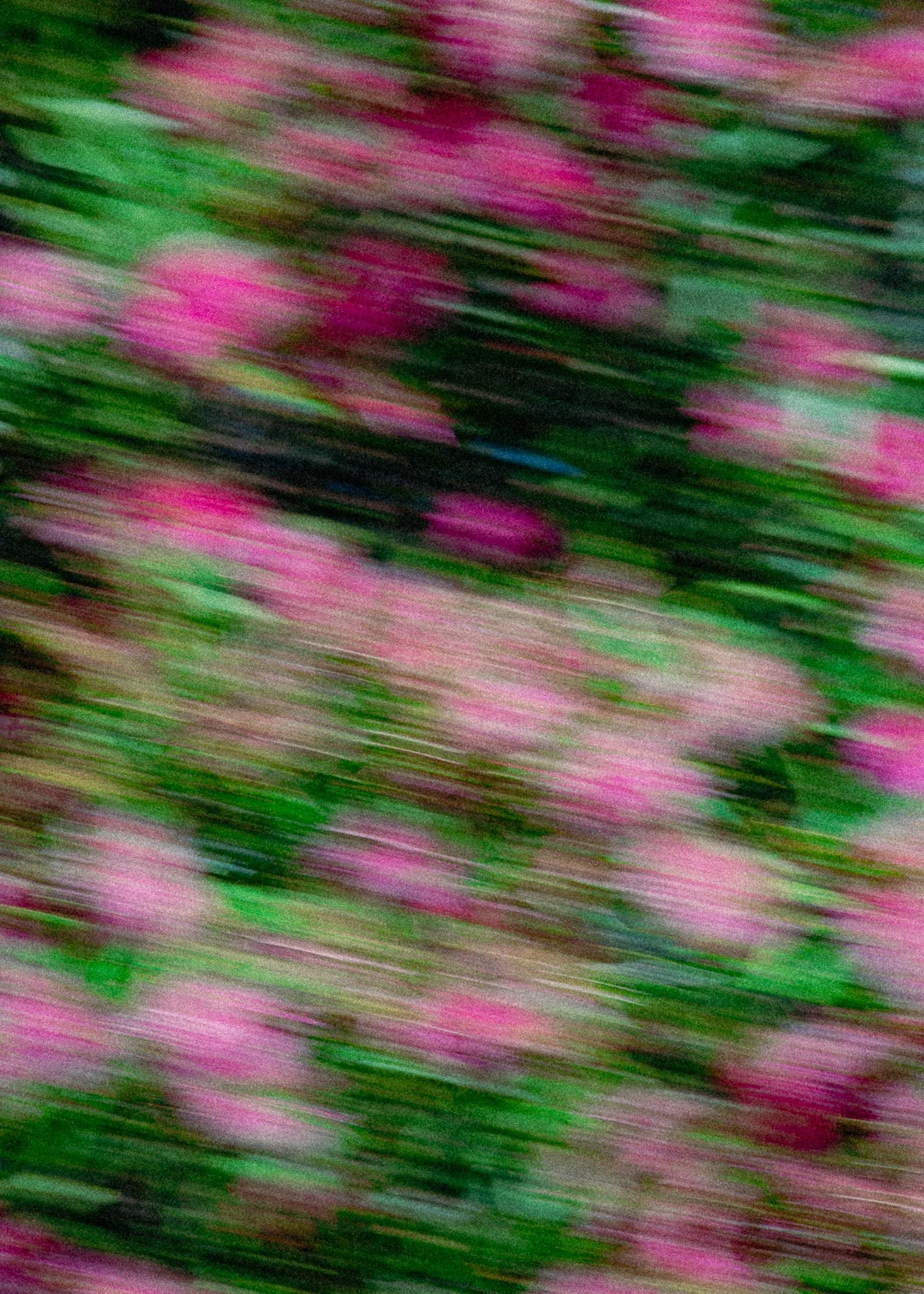 DSC_6460.jpg