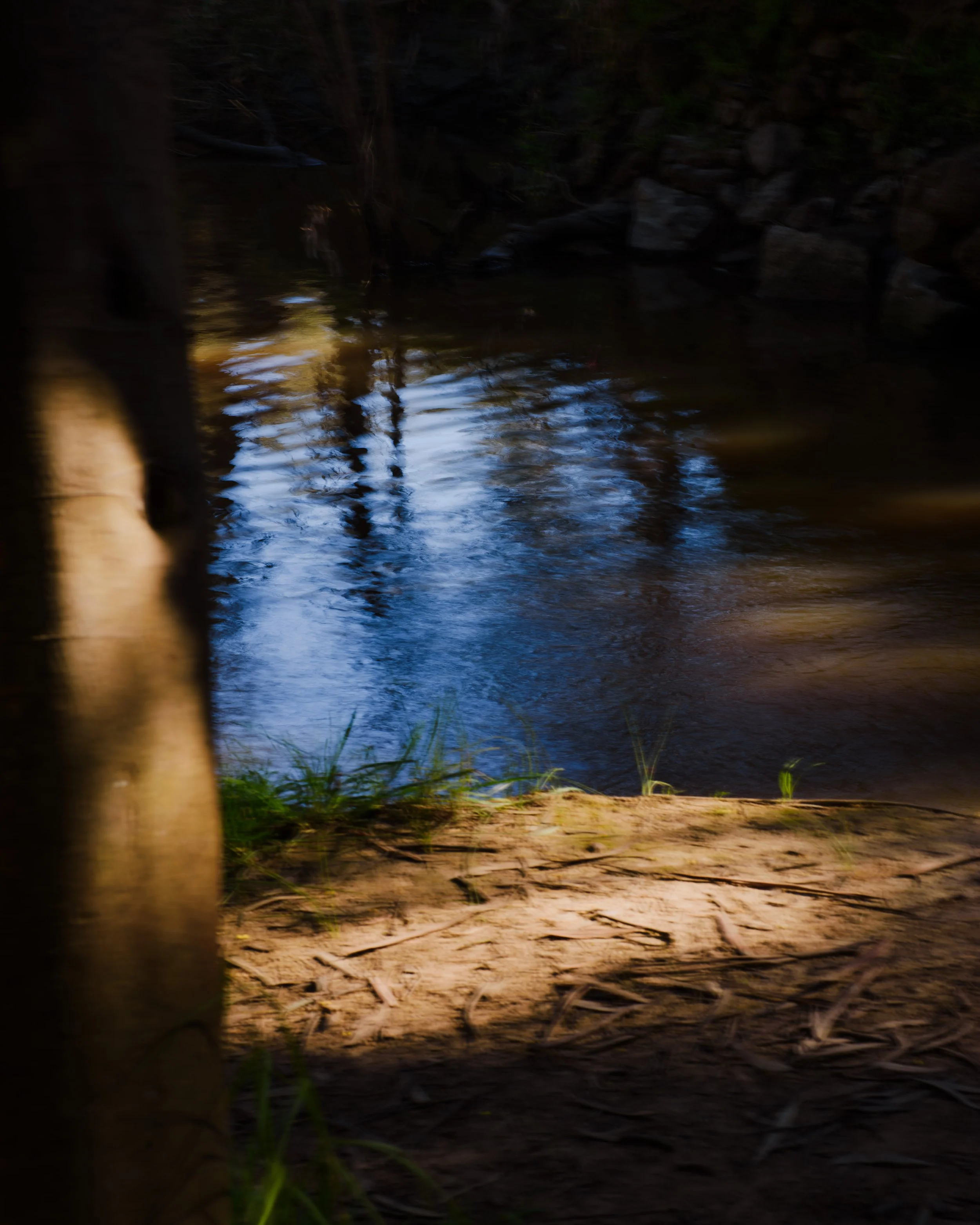 DSC_1287.jpg