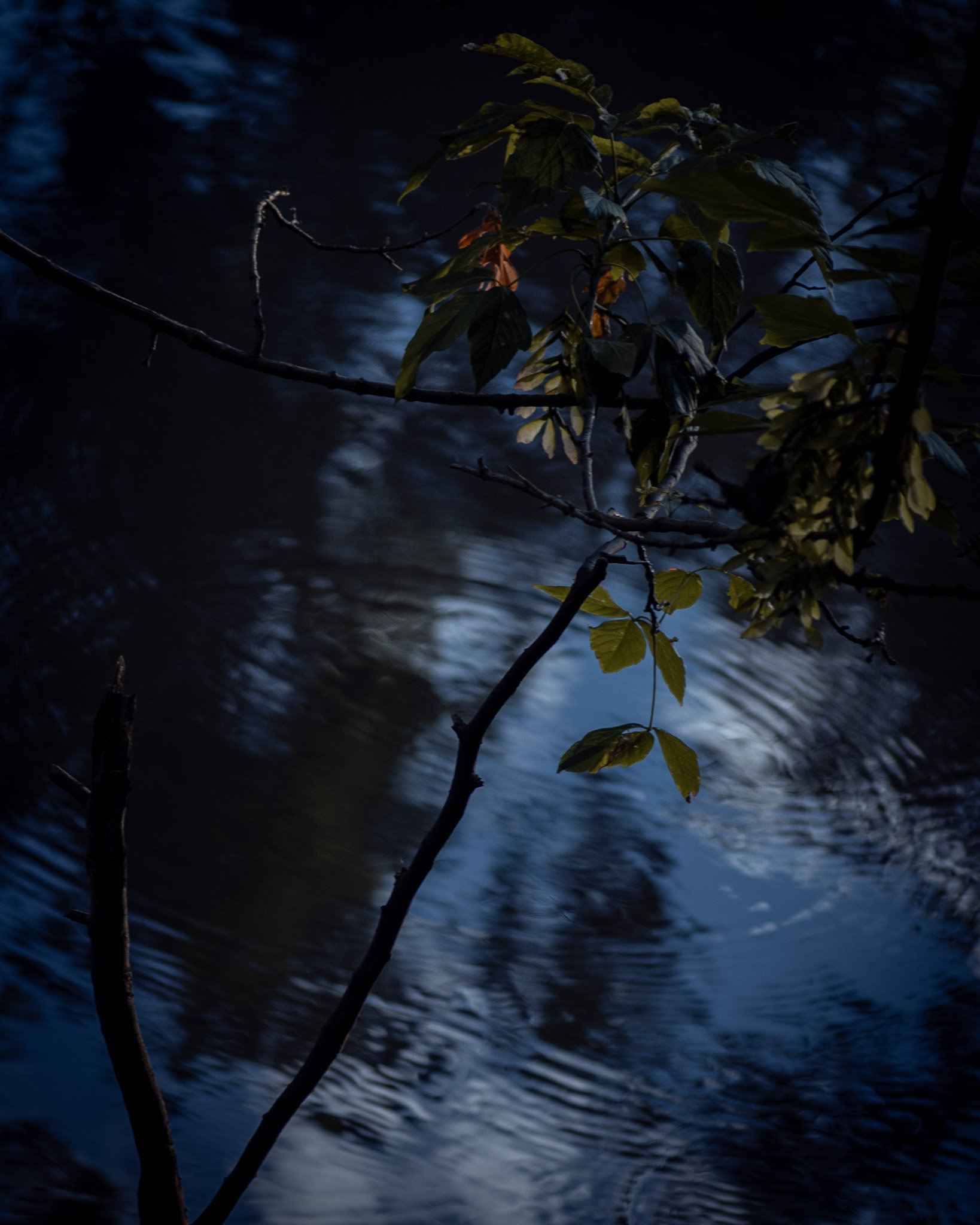 DSC_1583-2.jpg