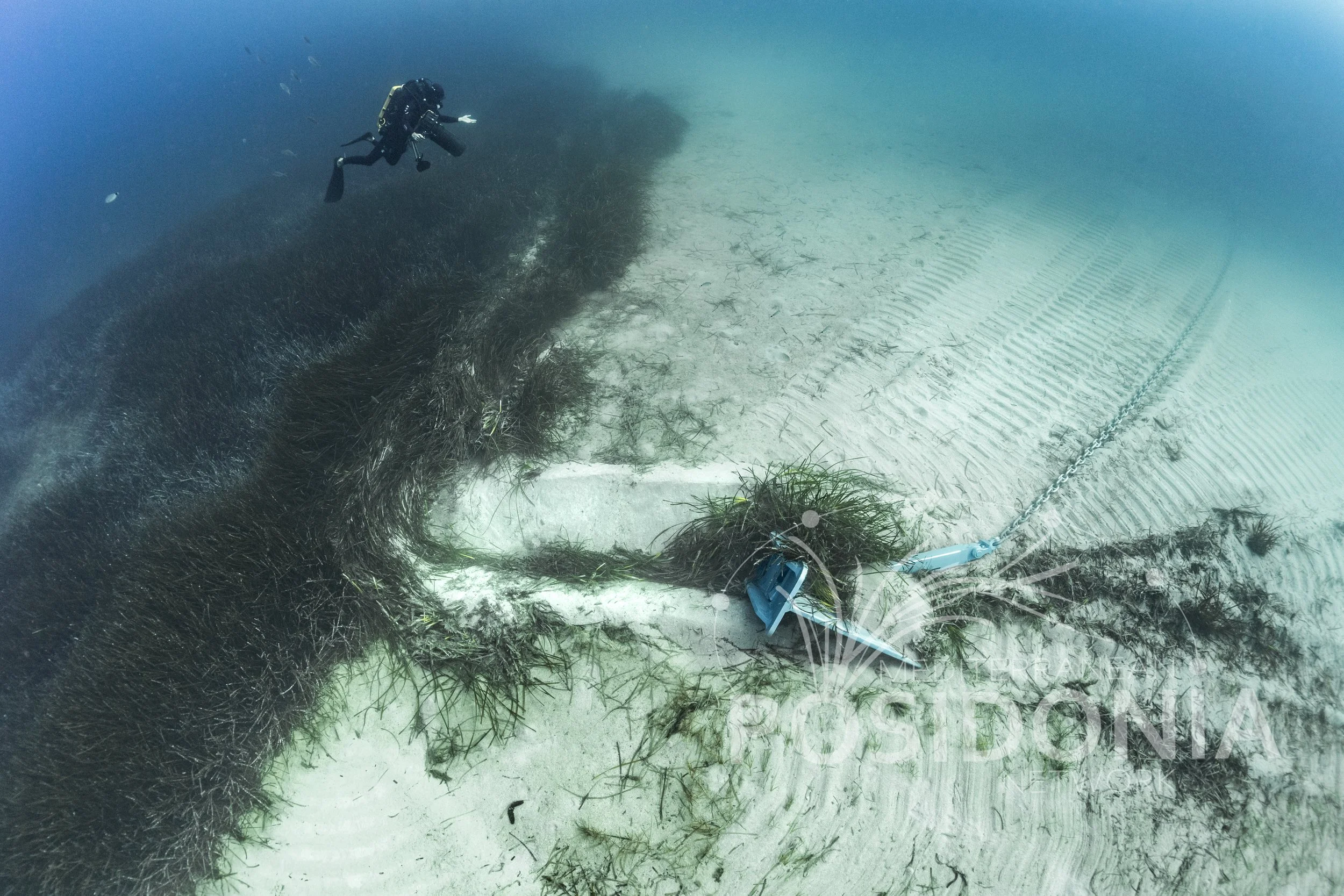 Safeguarding marine ecosystems ARGUS AnchorTag