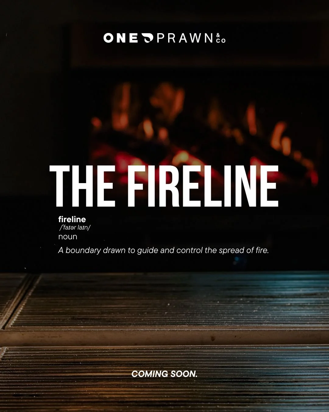 THE FIRELINE: a boundary to drawn to guide and control the spread of fire