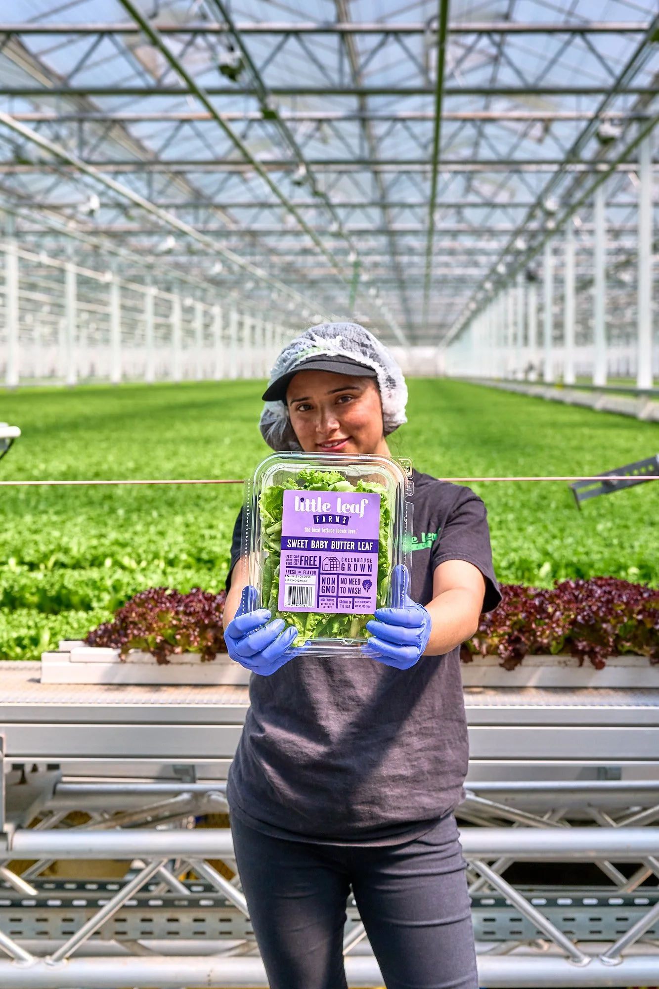 brp-llf_walmart-081426-15169.jpg