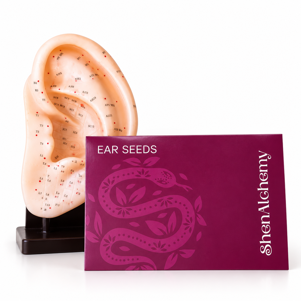 ear seeds kit