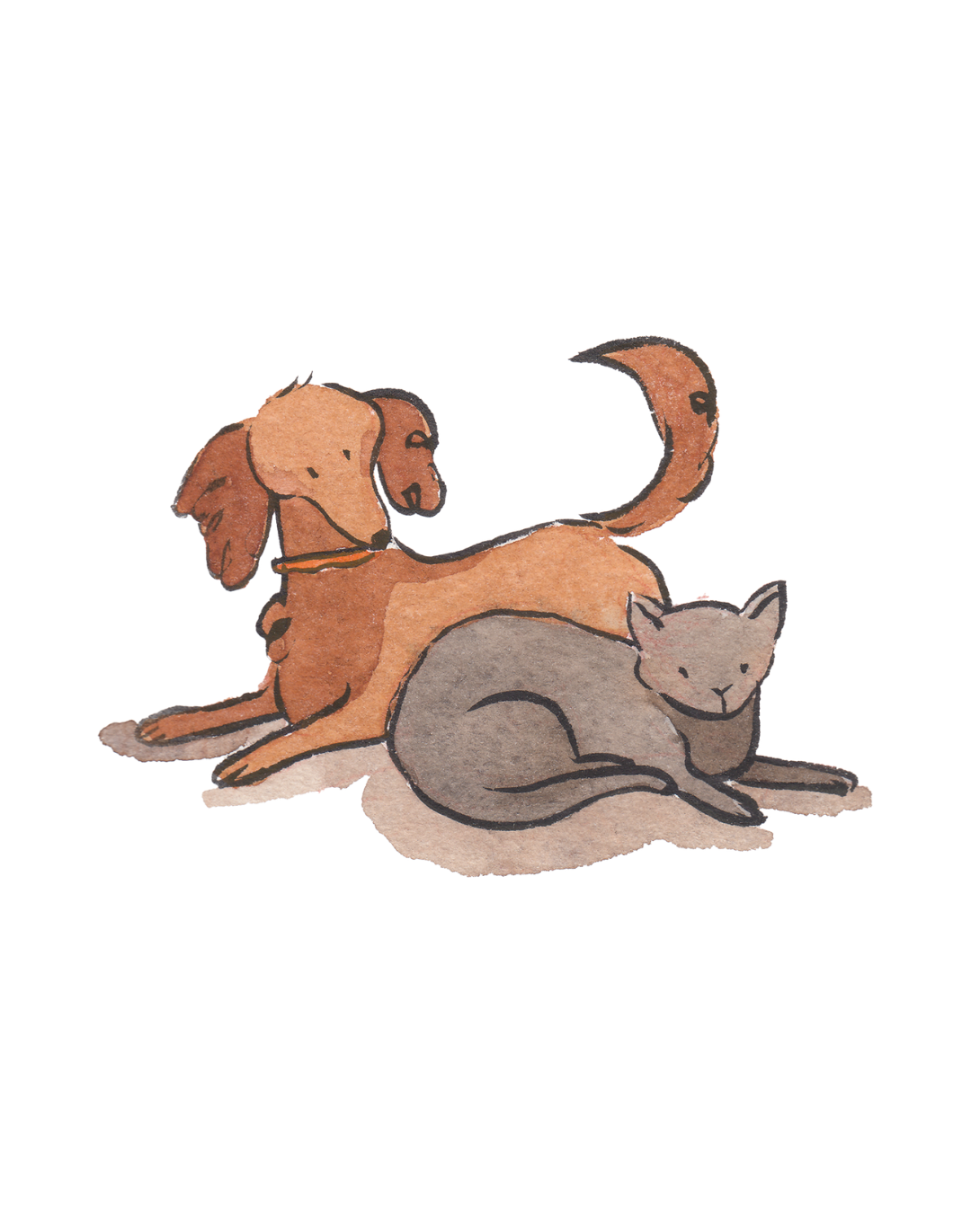 Stage: Pets (3-5 ans)