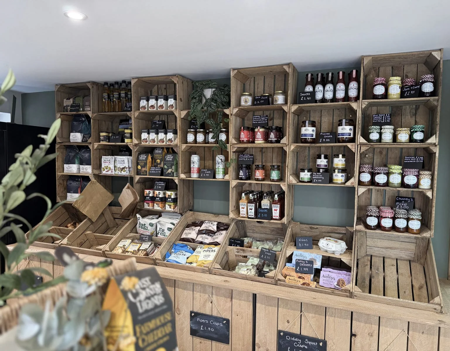 5-WhatsApp Image 2026-03-25 at 08.jpg