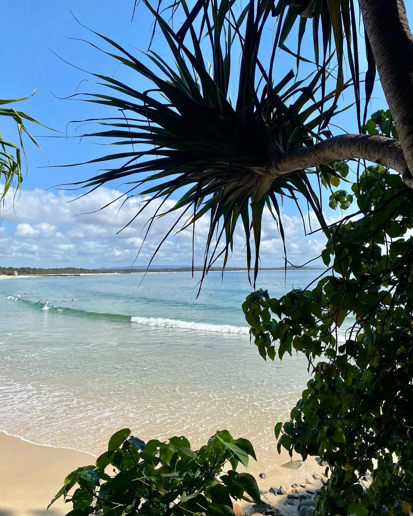 Recent camera roll favourites 📸 

Reflecting on my time in Victoria as I move back to Queensland to chase the warmer weather 🌞 
1. Spring holiday to Noosa (looking forward to more of this)
2. Completed my first clinic block at uni (the most rewardi