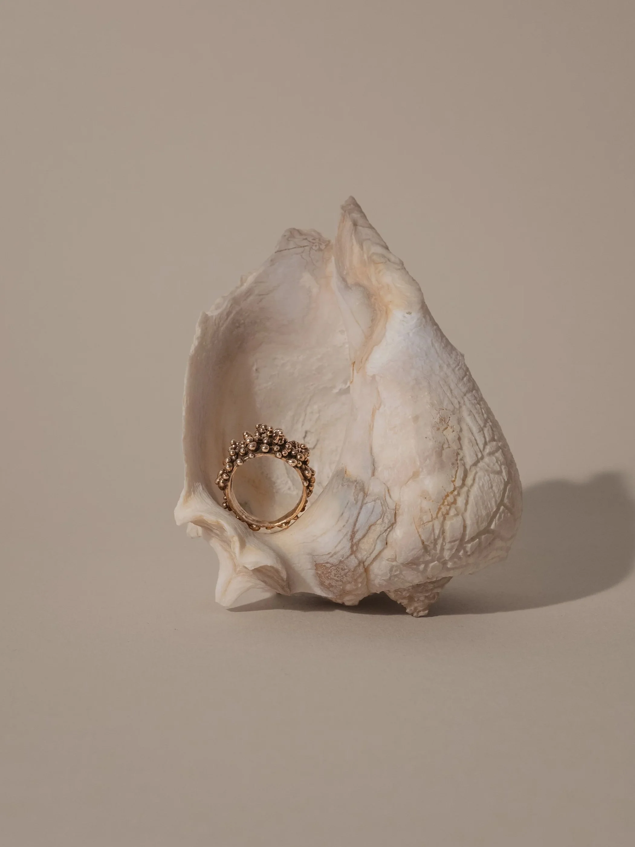anello appoggiato dentro una conchiglia su fondo beige