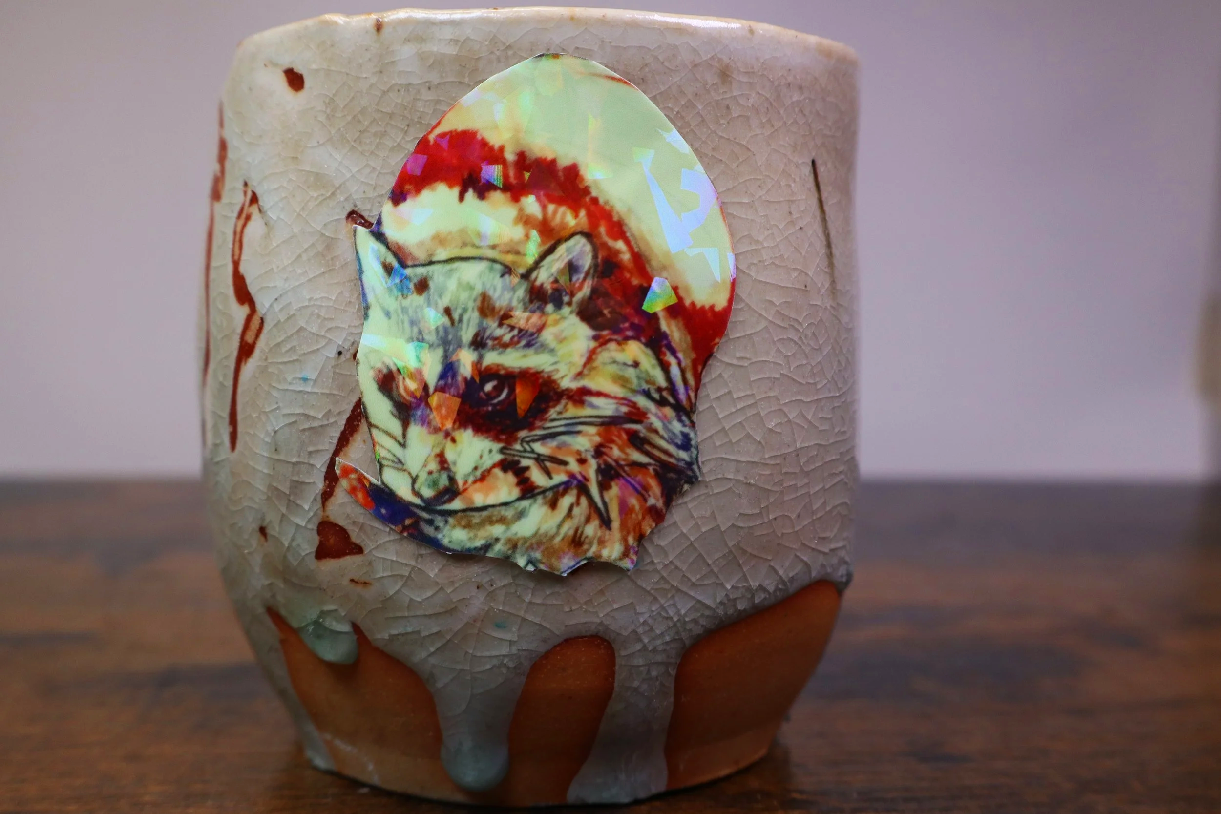 Curious Racoon Glow in the dark Sticker