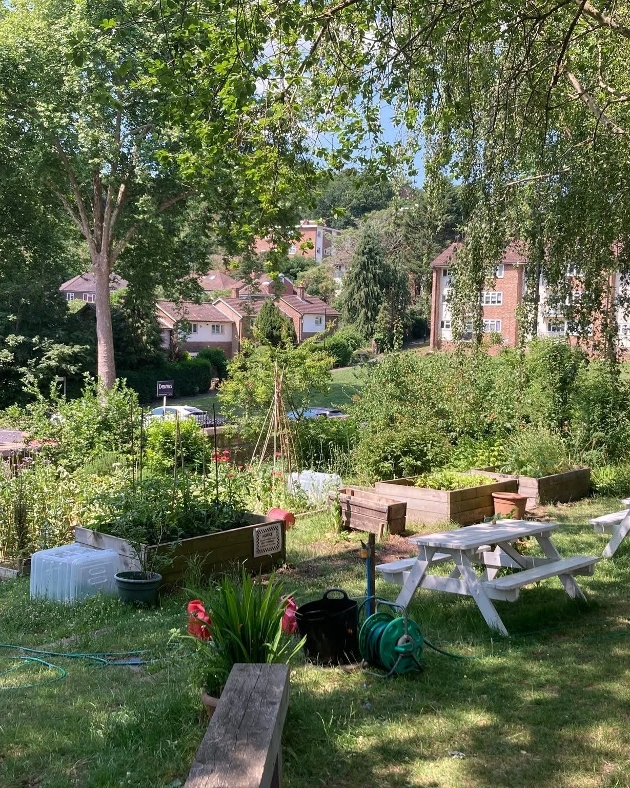 🌍 Happy Earth Day! 🌱

Today we&rsquo;re reminded to be thankful for the beauty of creation all around us ✨
We couldn&rsquo;t resist sharing a few photos of our meadow as it comes back to life 🌱🌸
With warmer days ahead, we&rsquo;re looking forward