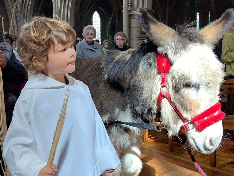 Palm Sunday Procession with Real Donkey