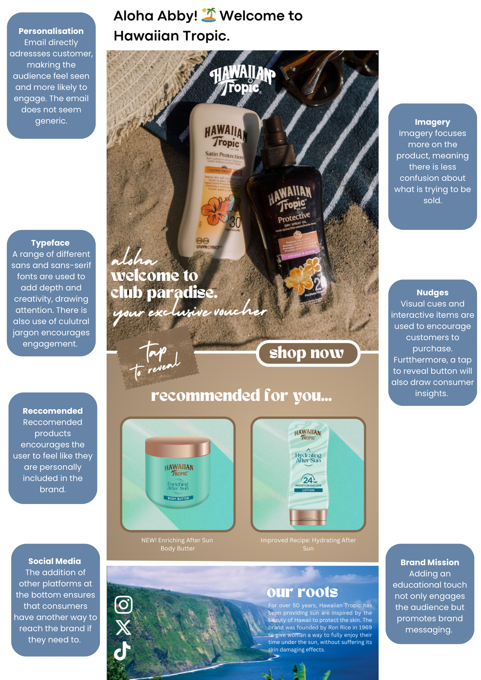Hawaiian Tropic Email - 2.PNG