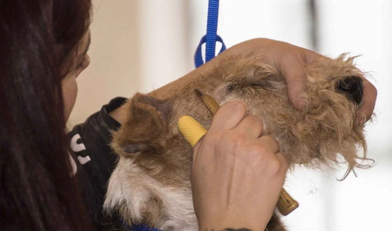 Vanessa Alonso_0067.jpg