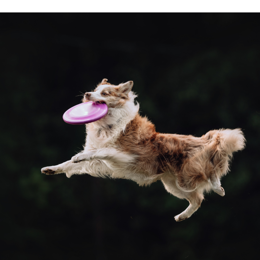 Dise%C3%B1o+sin+t%C3%ADtulo+%285%29.png