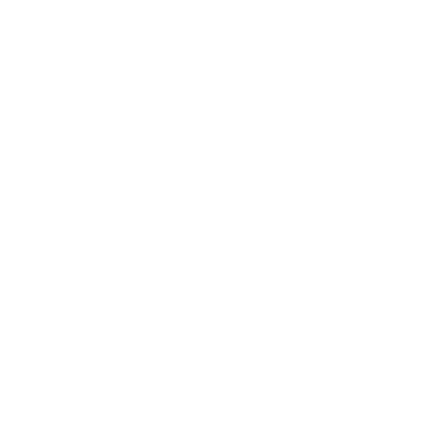 A black and white image of a Submission Kings' medal tally card showing 1 silver medal, no gold or bronze medals, and no team ranking.