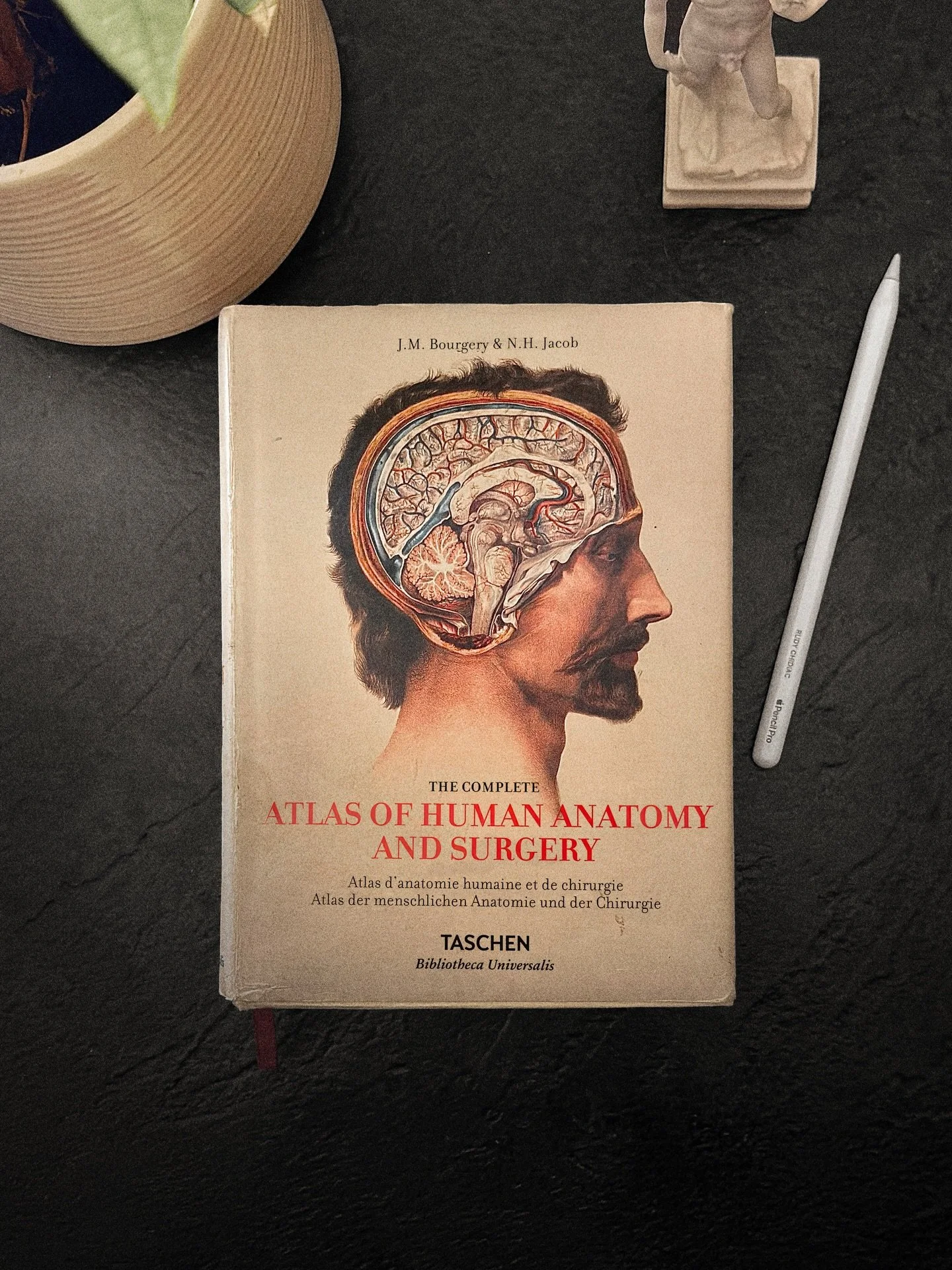 One of the most inspiring resources I have.💀Swipe to see how it has influenced my work! ➡️