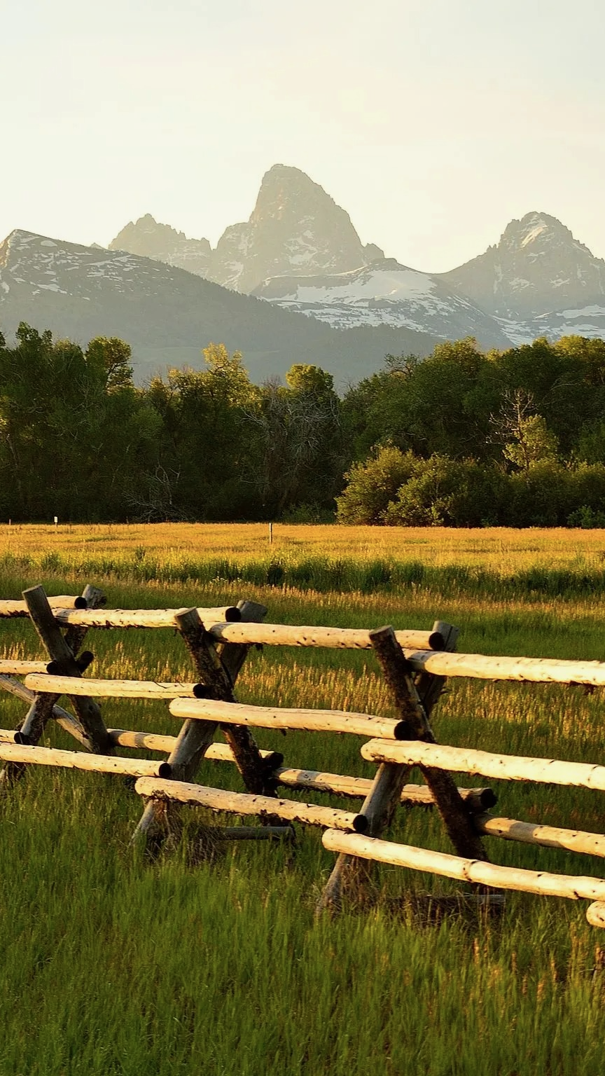 Driggs Jackson WY Teton Views.png
