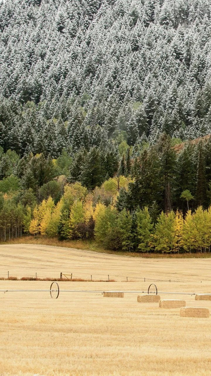 Teton Valley Driggs Winer is Coming.png