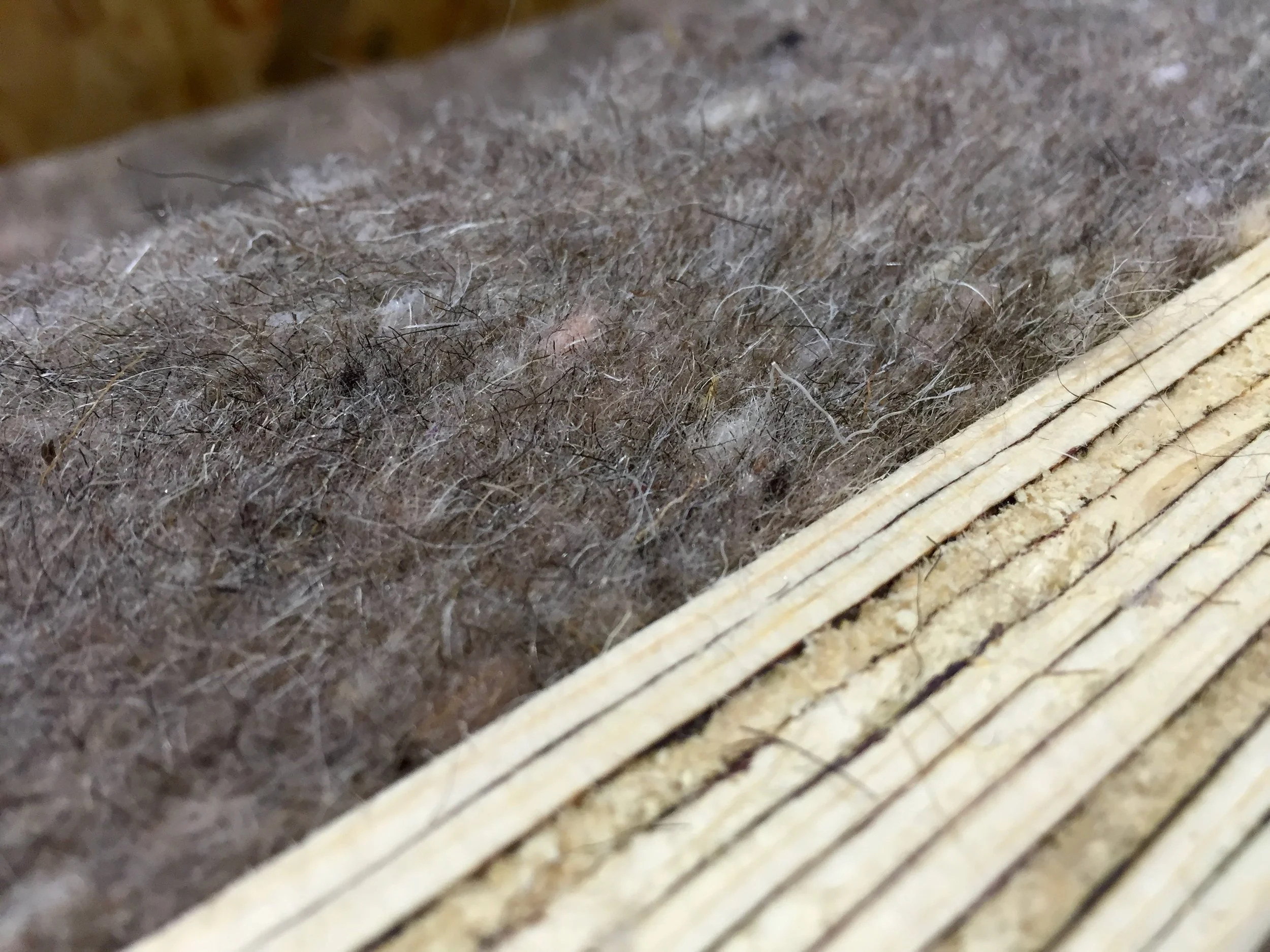 natural / recycled insulation