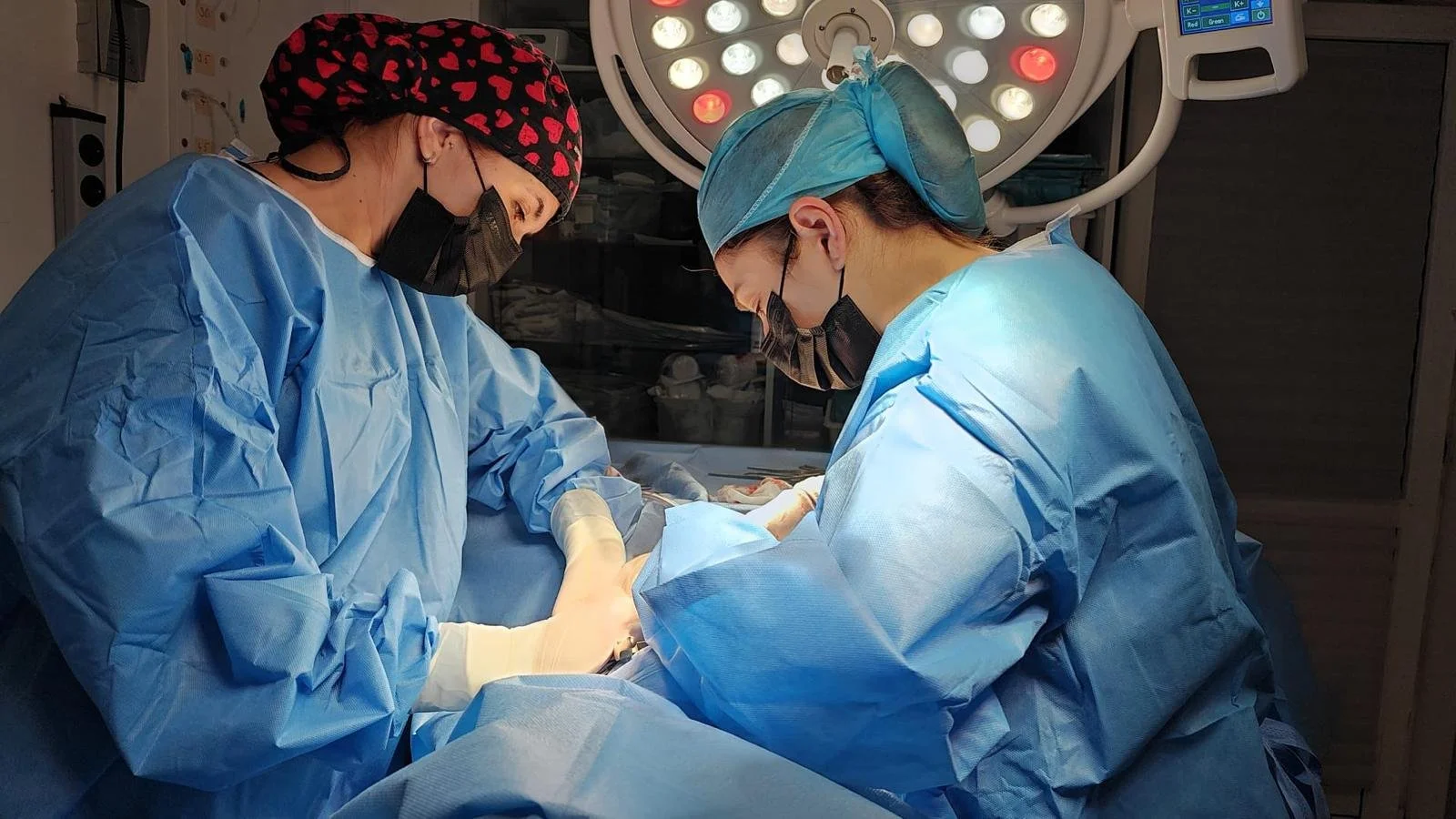 Importanța diagnosticării timpurii și a chirurgiei oncologice la animale