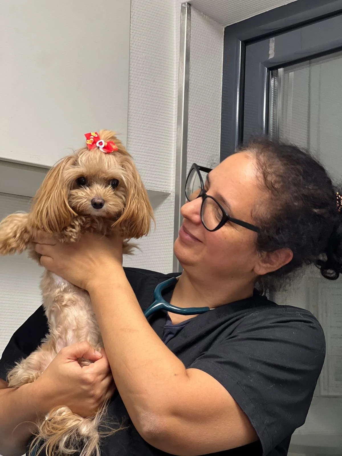 Deparazitarea pe tot parcursul anului: avantaje, beneficii și diferențe