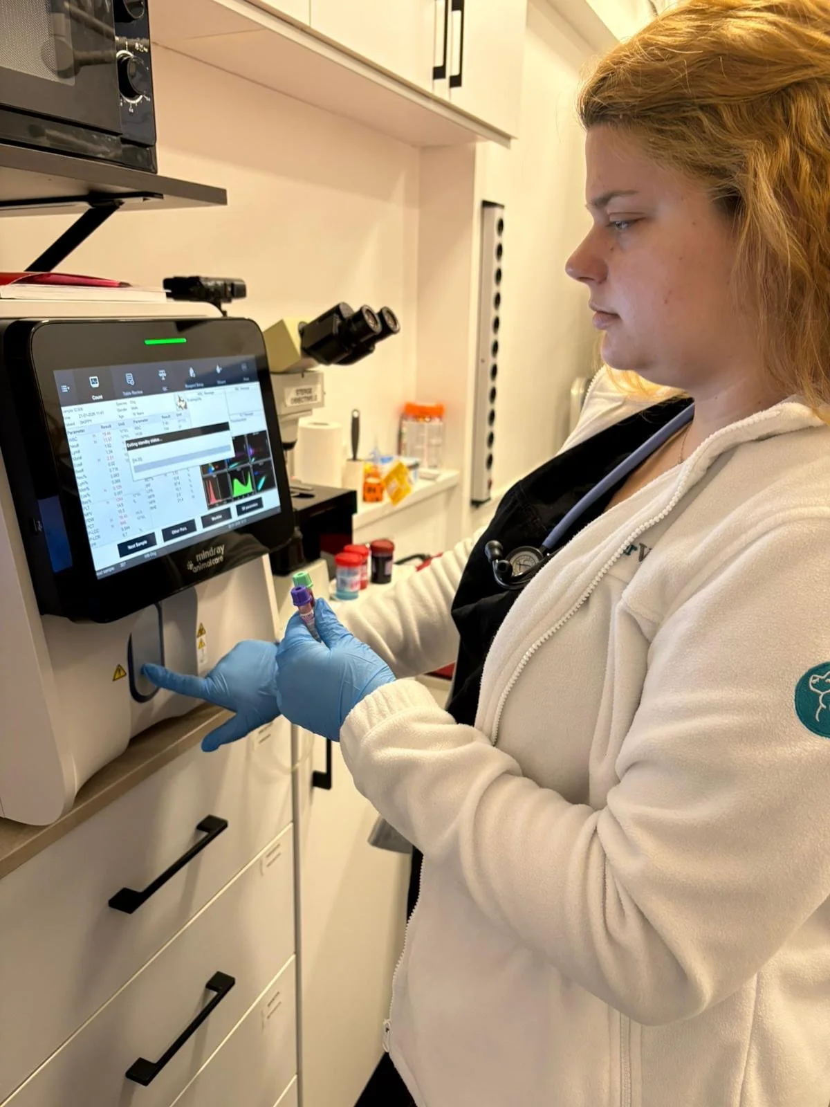 Rolul analizelor de sânge și urină în depistarea precoce a bolilor renale la câini și pisici