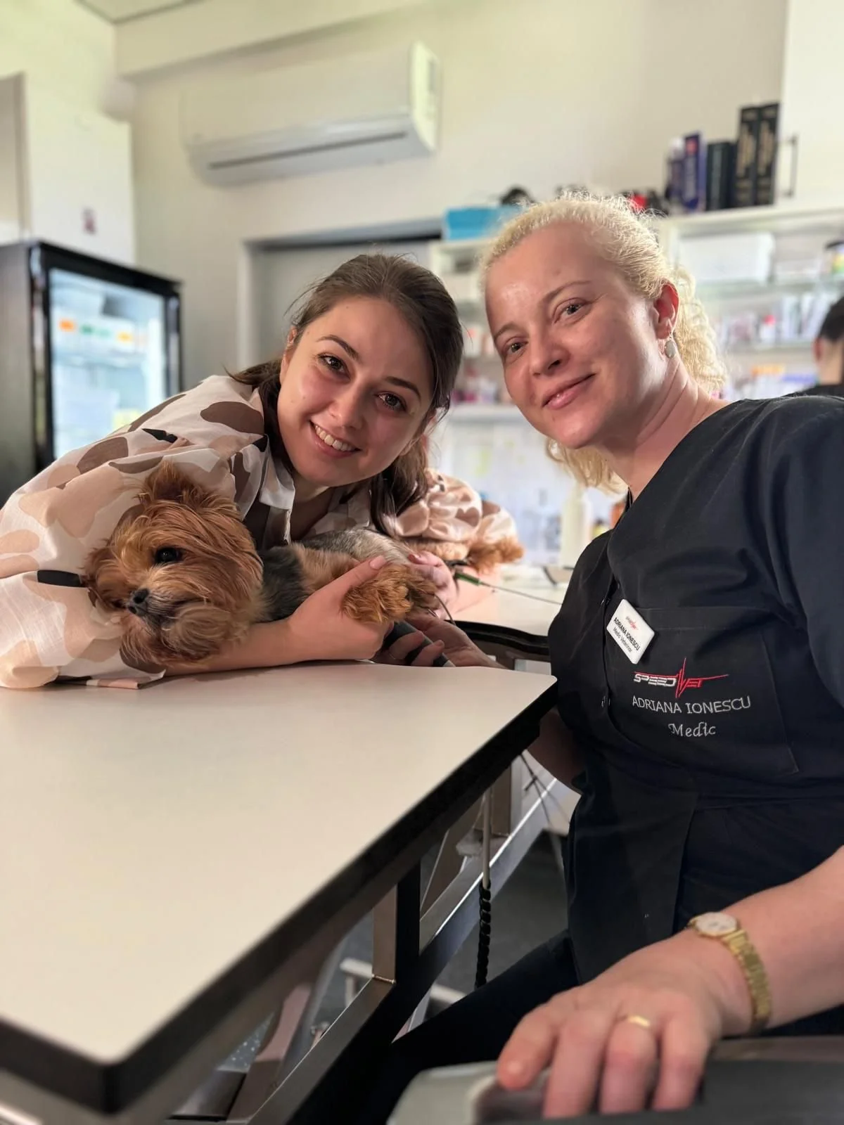 De ce vizitele regulate la medicul veterinar pot prelungi viața animăluțului tău (și ce riști dacă le amâni)