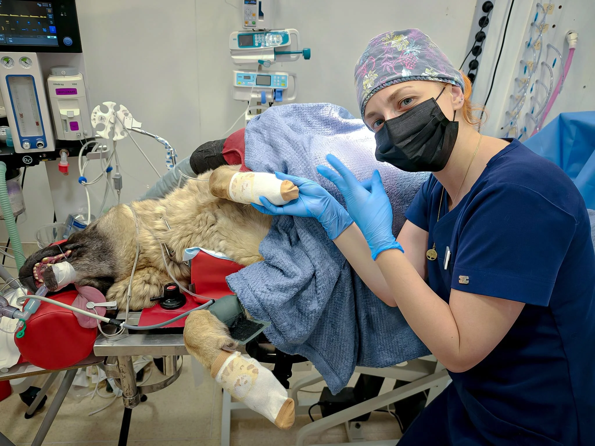 Importanța anesteziei în managementul chirurgical complex al pacienților