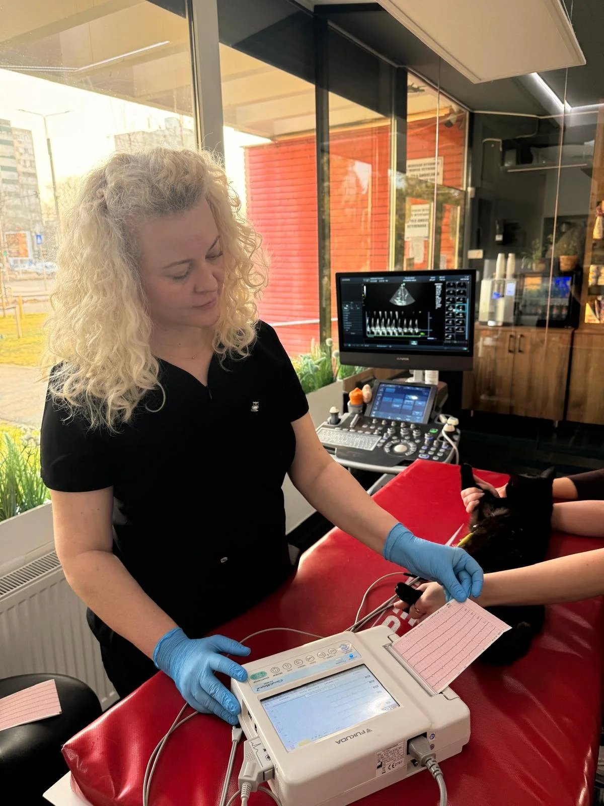 De ce este importantă monitorizarea EKG pentru animalele cu probleme cardiace?