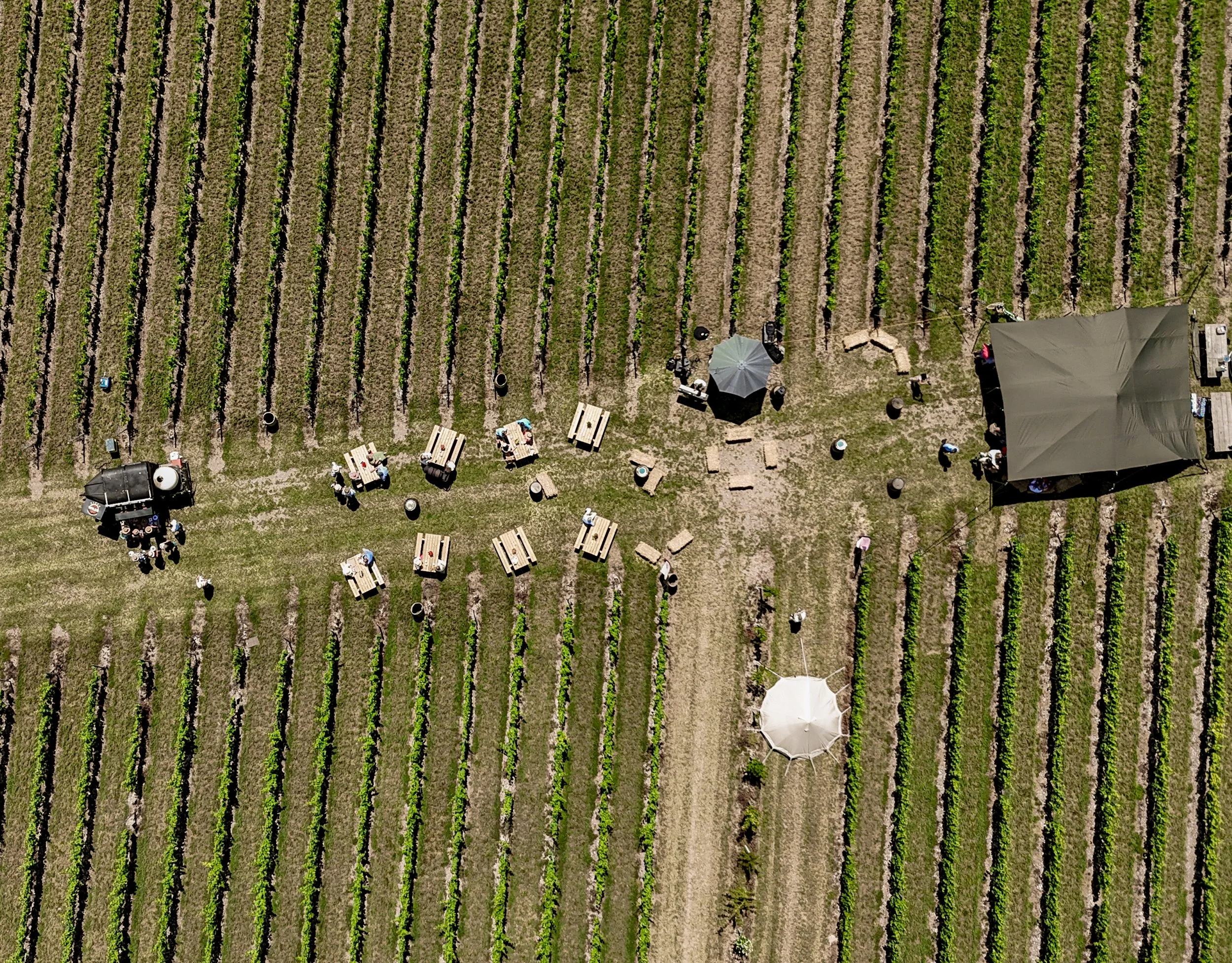 Rowles Vineyard Launch-118.jpg