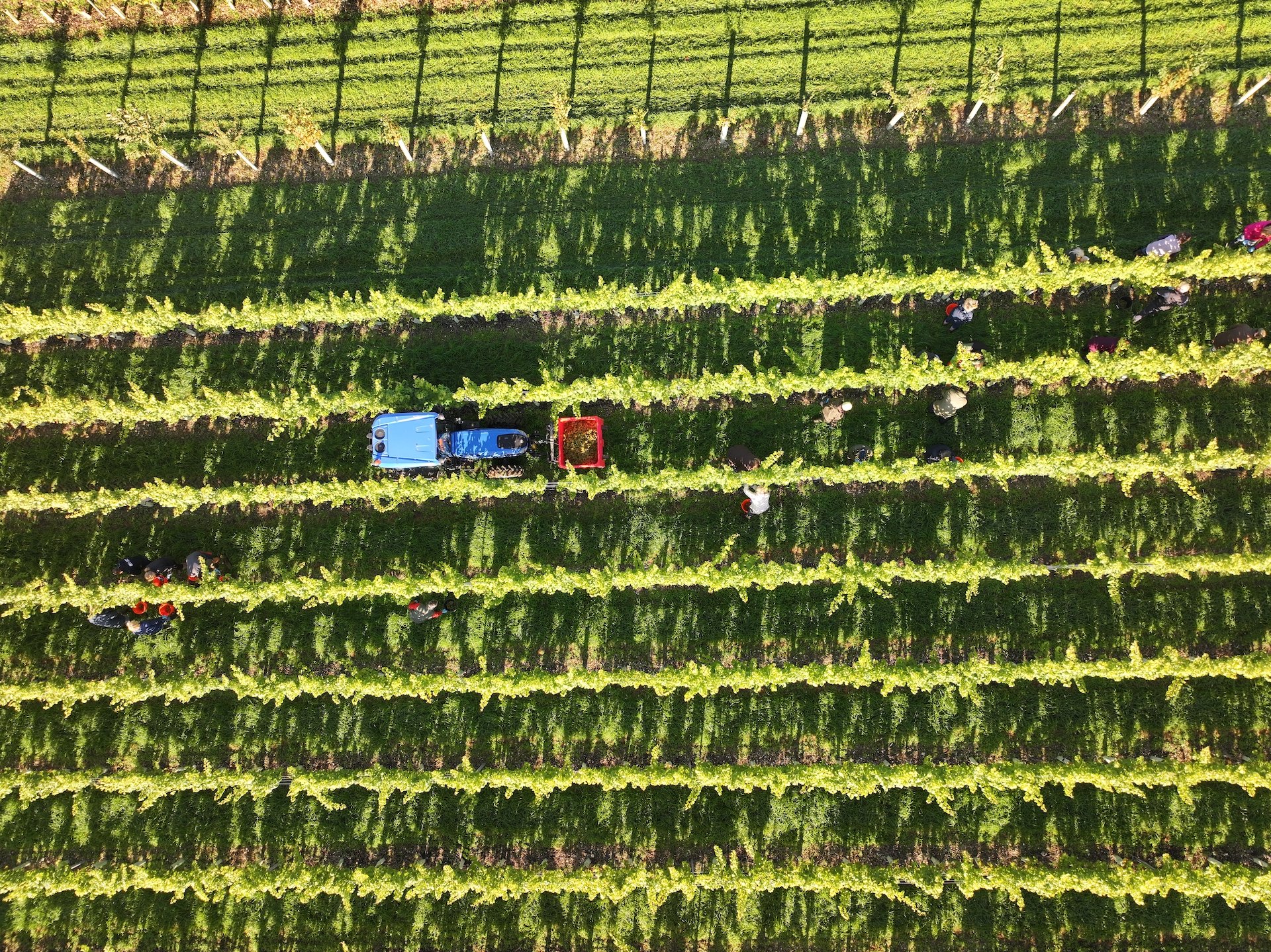 dji_fly_20241003_092436_0960_1728034581614_photo.jpeg
