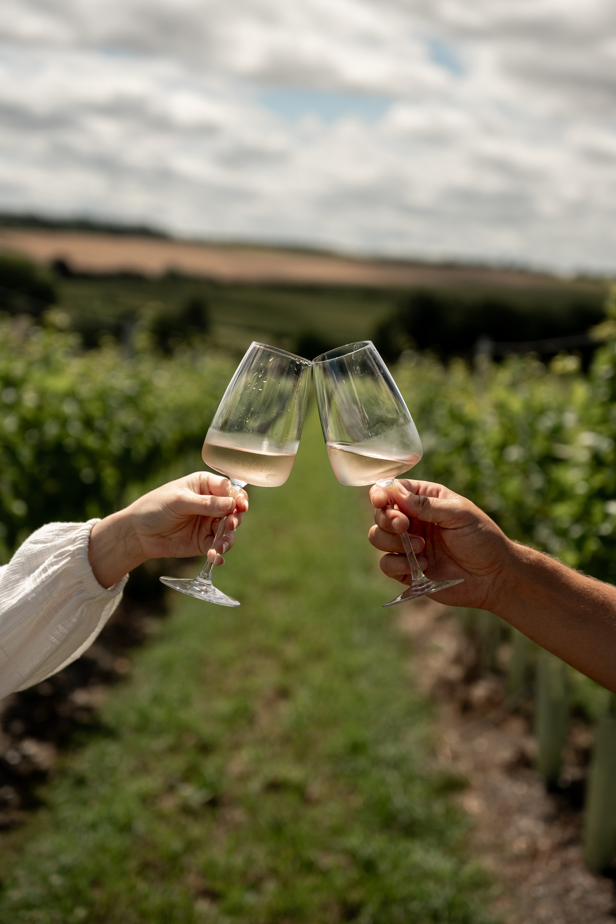 Rowles Vineyard Launch-032_ROSE.jpg