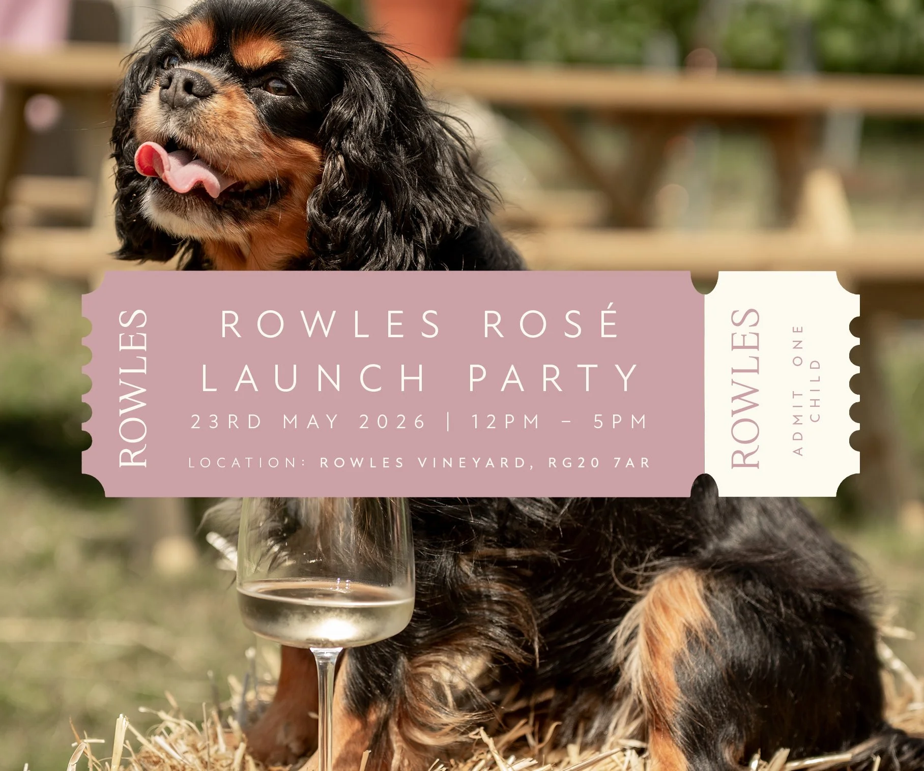 Rowles Rosé Launch Party - Child Ticket