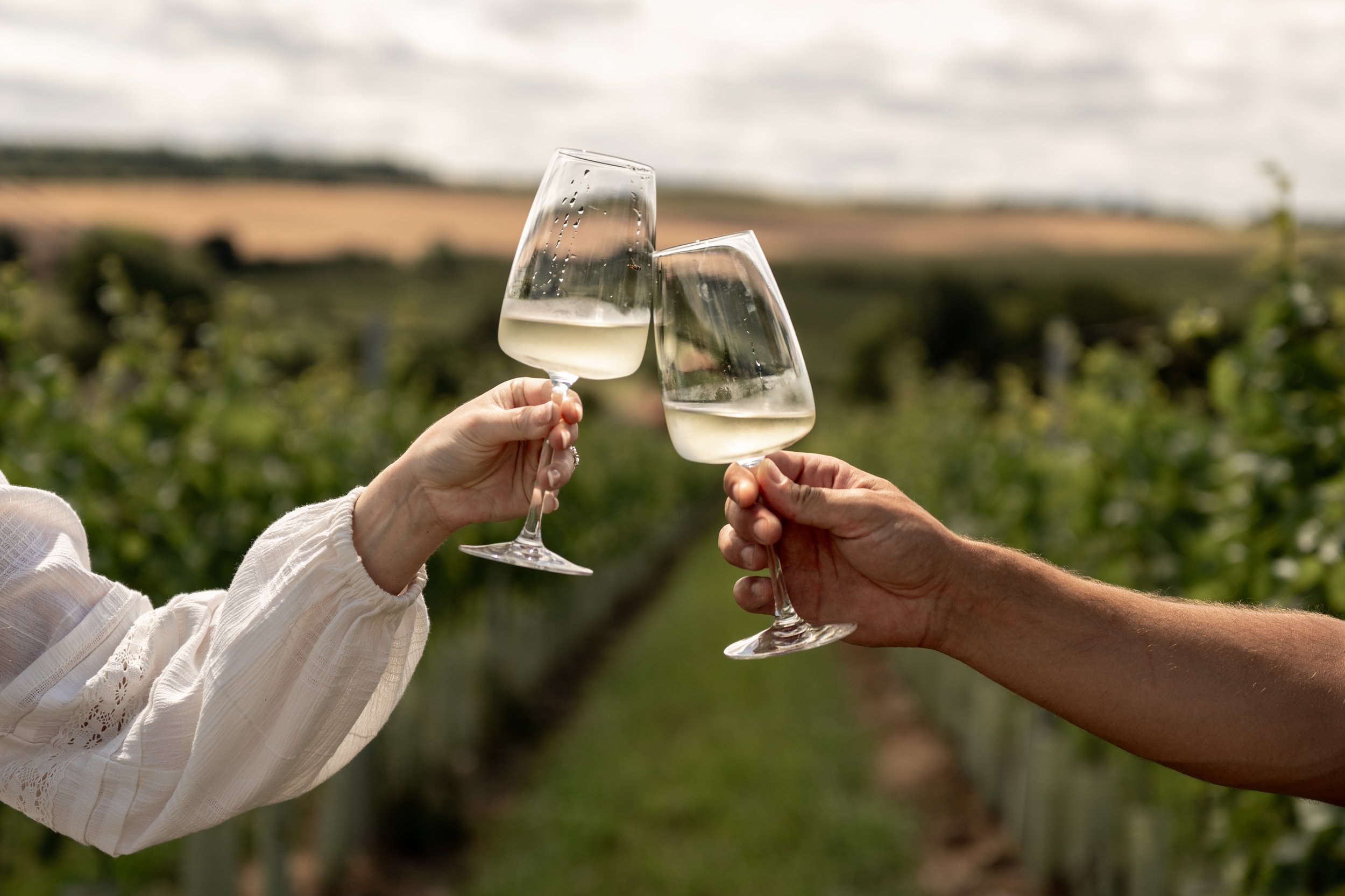 Rowles Vineyard Launch-035.jpg