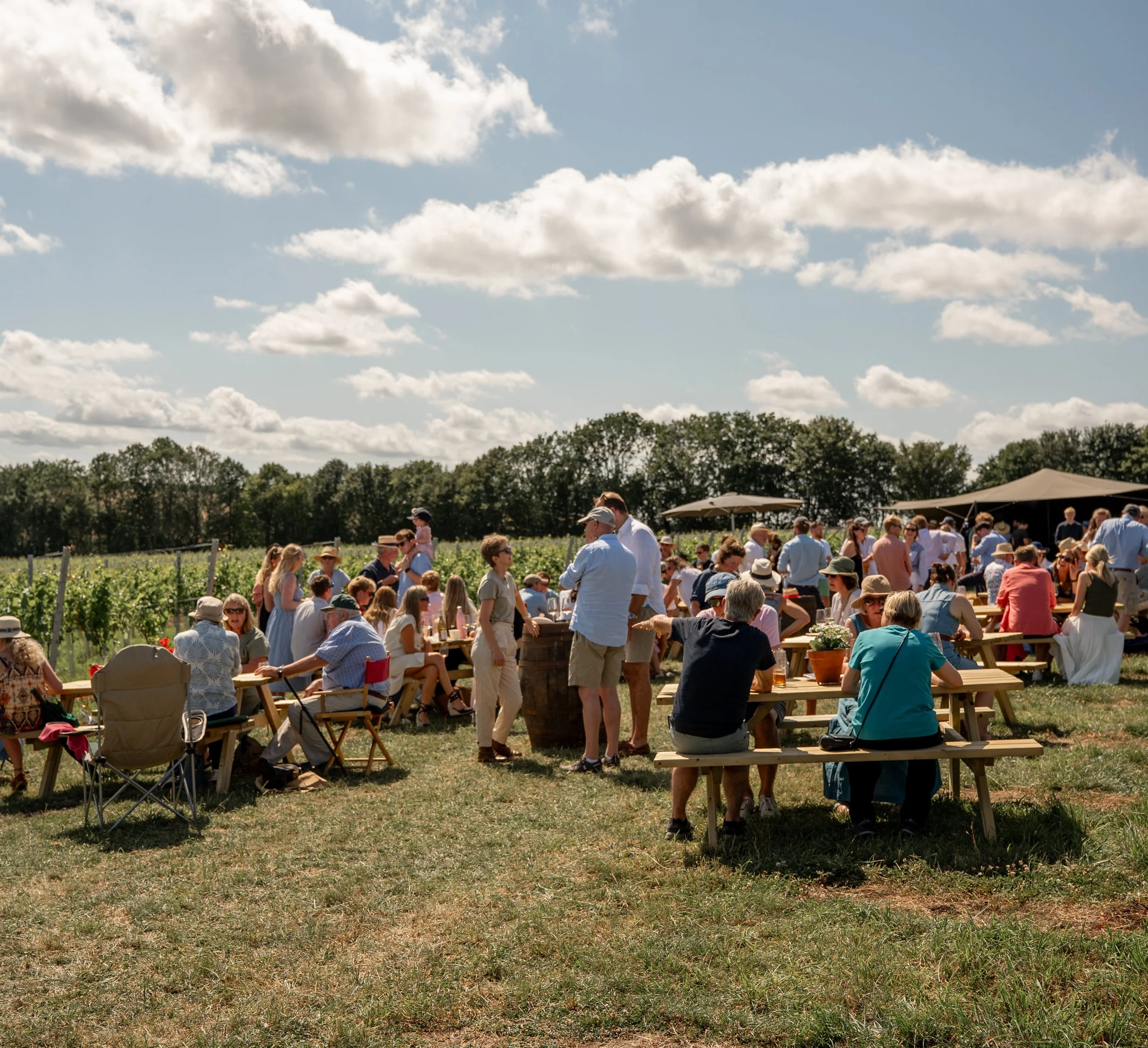 Rowles Vineyard Launch-088.jpg