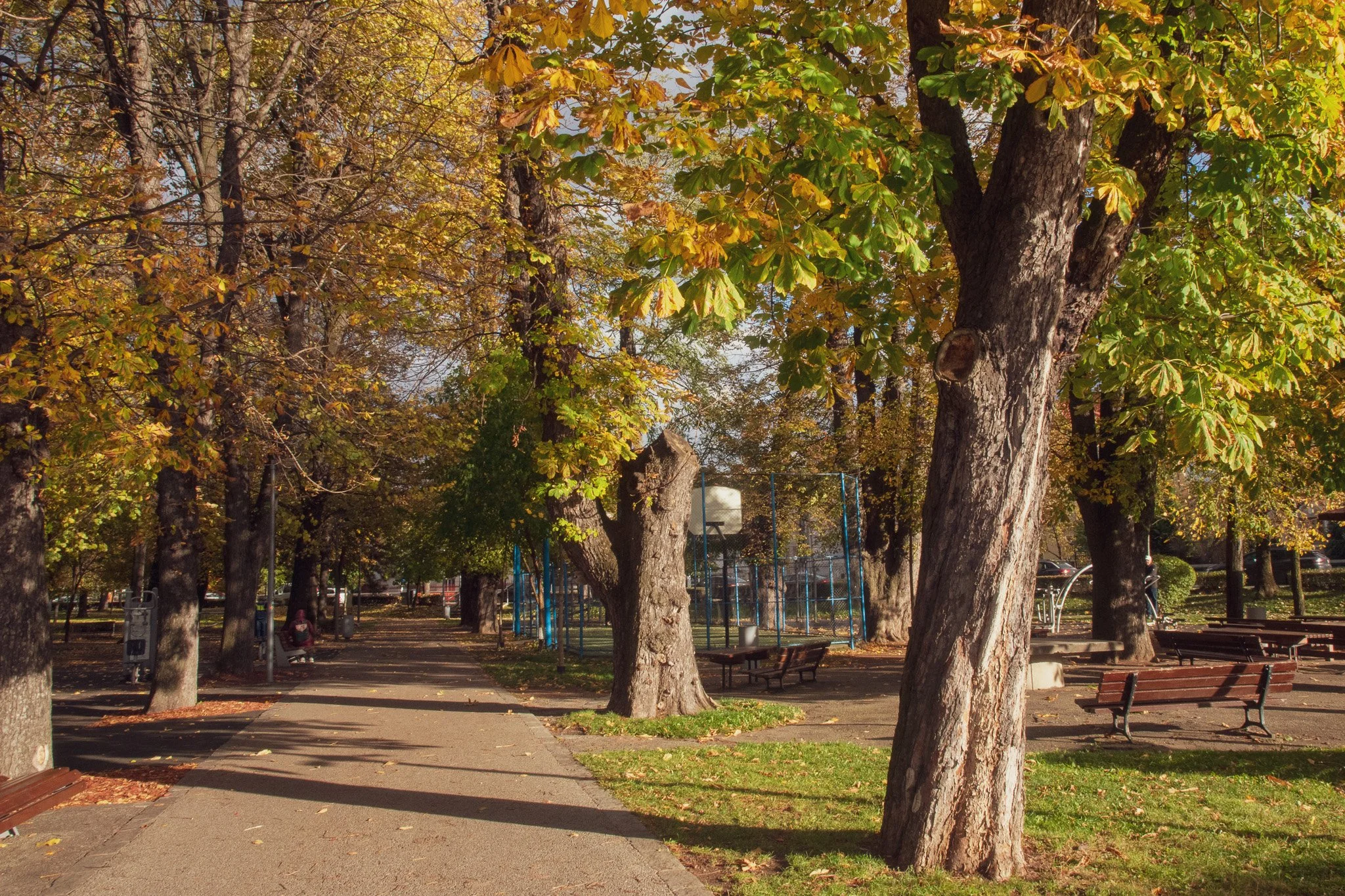 SB1_1376-2.jpg