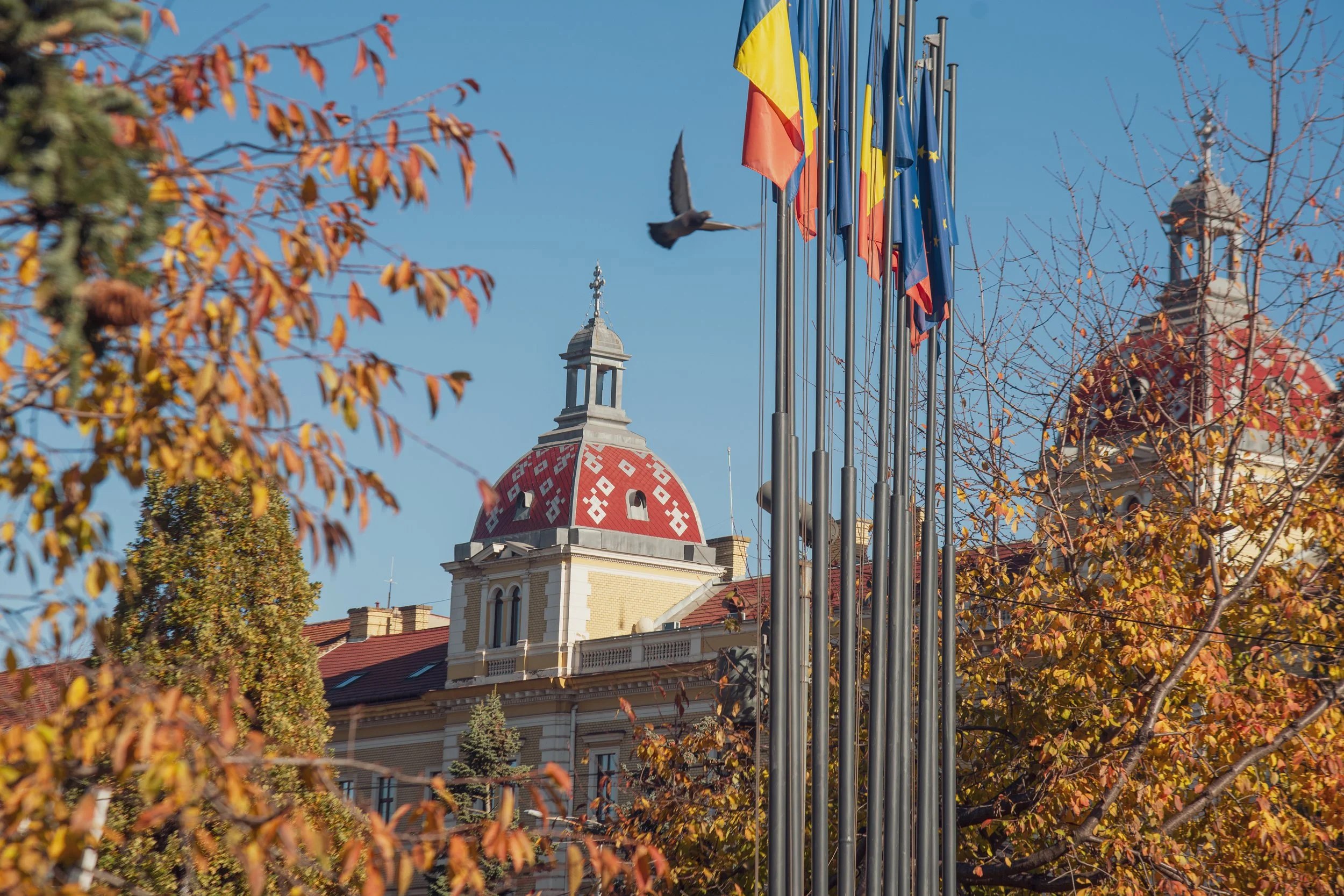 Cluj-Napoca