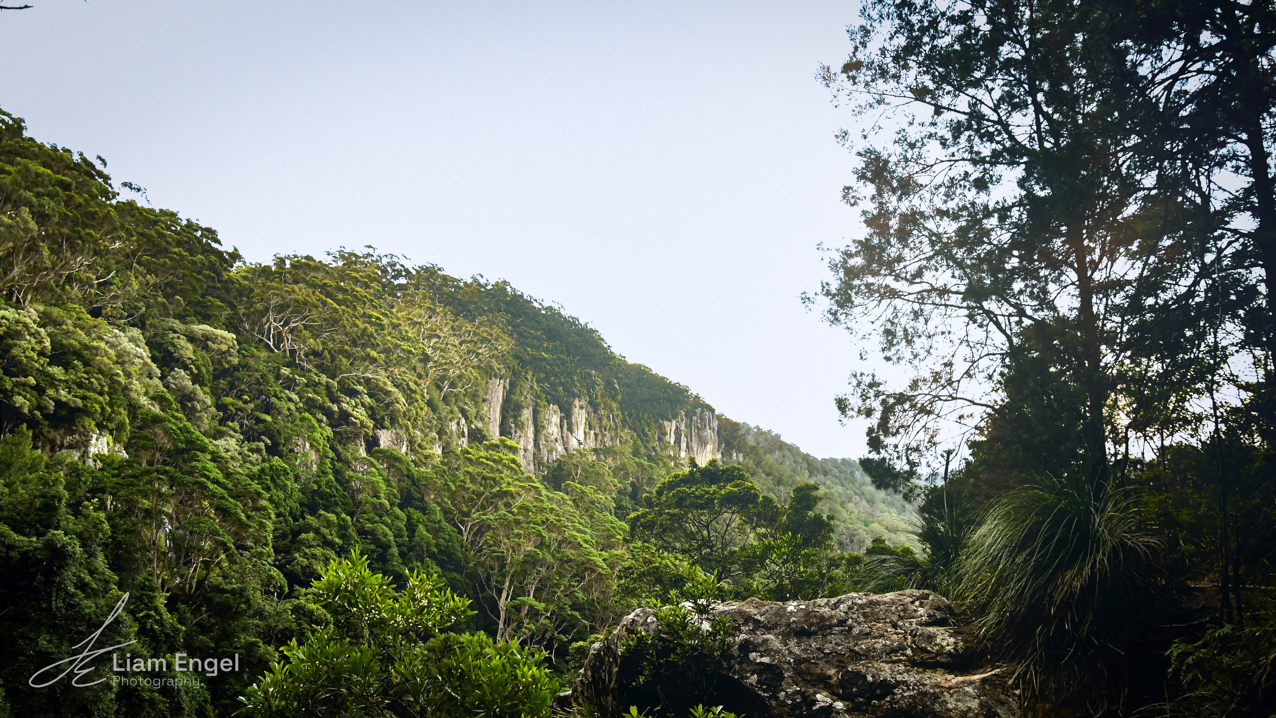 Lush green forest on a hillside with trees and rocks, under a partly cloudy sky.