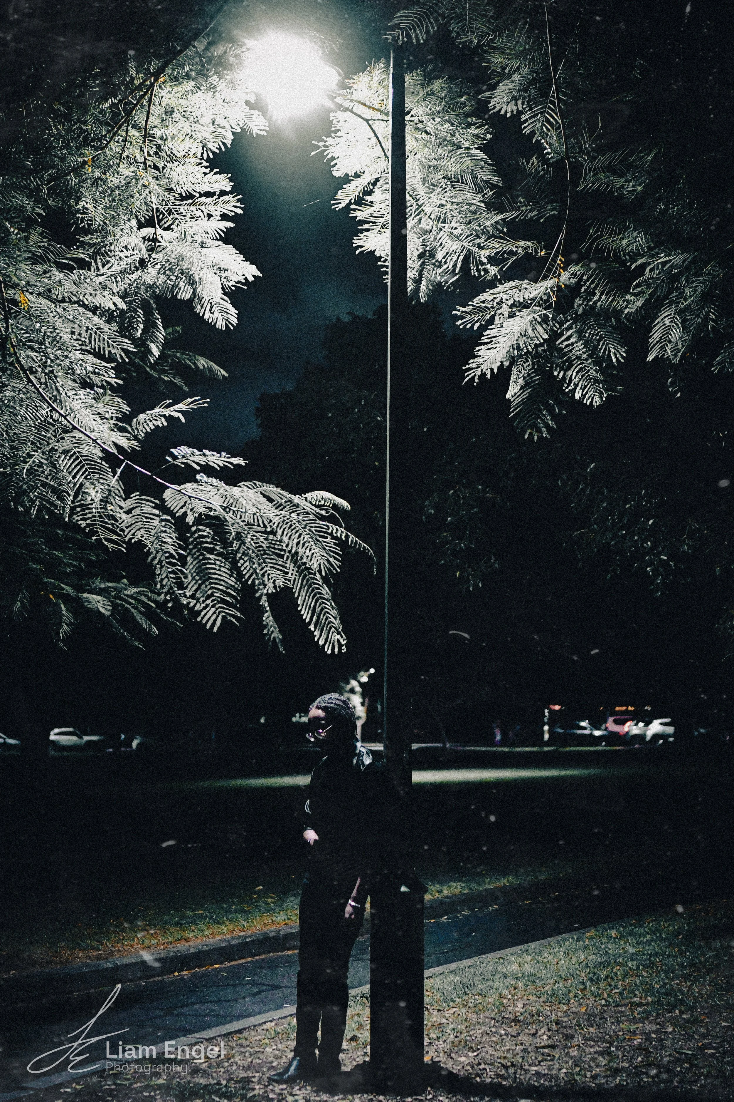 Person standing next to a streetlight at night with tree branches overhead, illuminated by the streetlight.