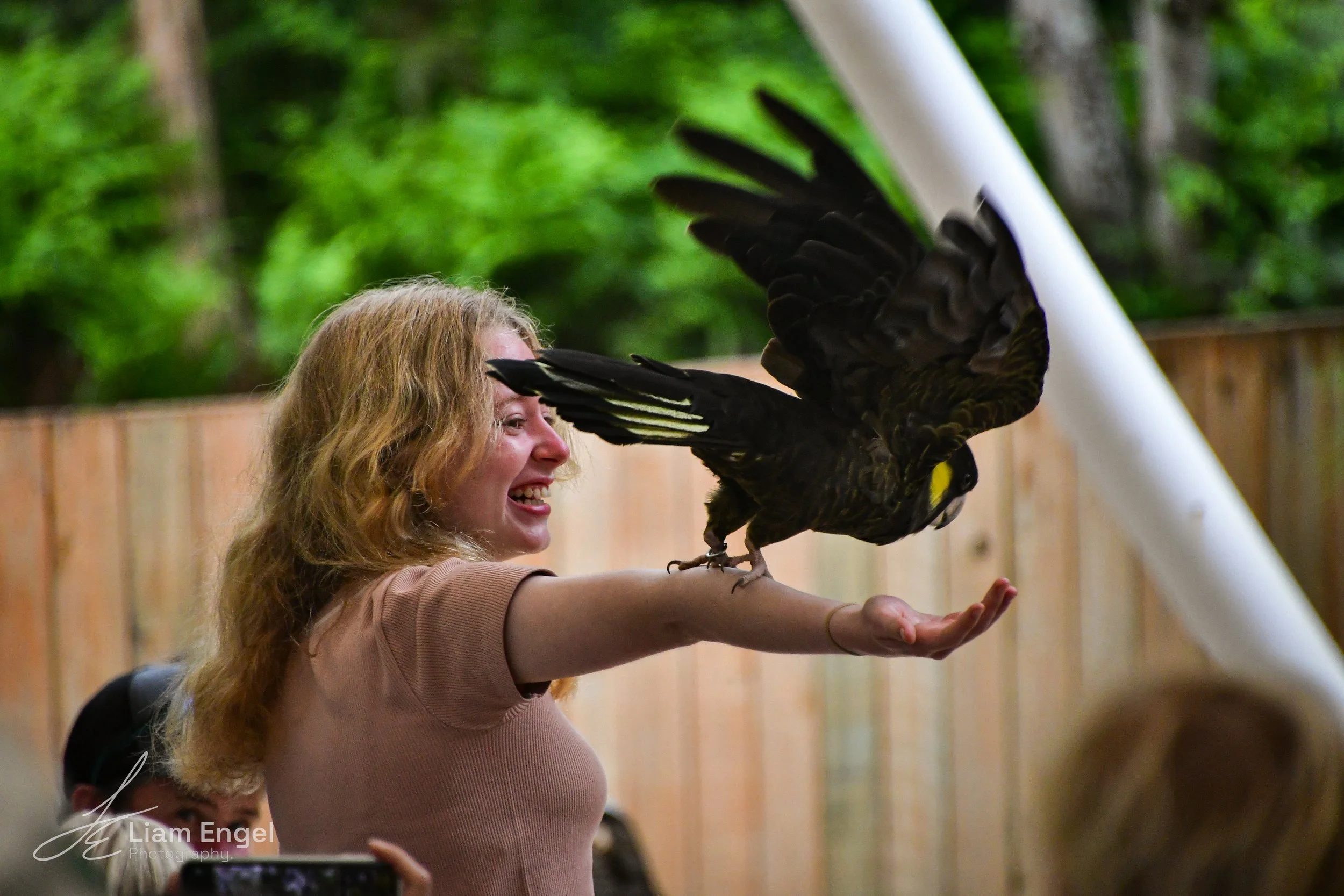 A woman with long, curly hair smiling and holding her arm out while a large black bird with yellow markings perches on her arm. The woman appears happy and engaged with the bird in an outdoor setting with green foliage and a wooden fence in the backg